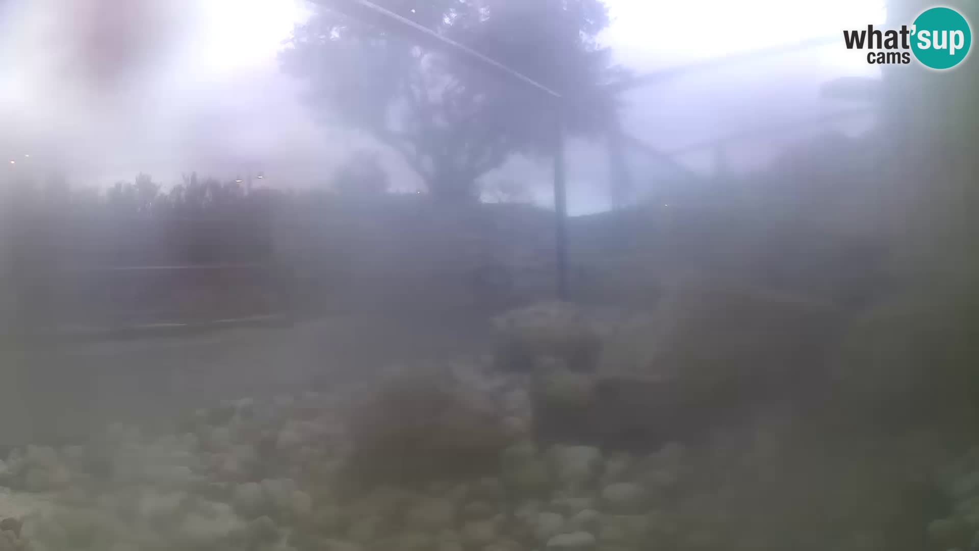 Aquario marino esterno –  Rogoznica livecam Croazia