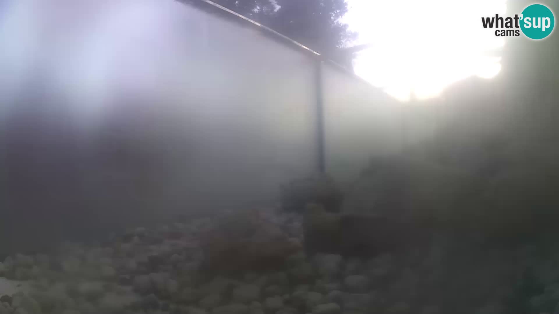 Acuario marino al aire libre Rogoznica webcam Croacia