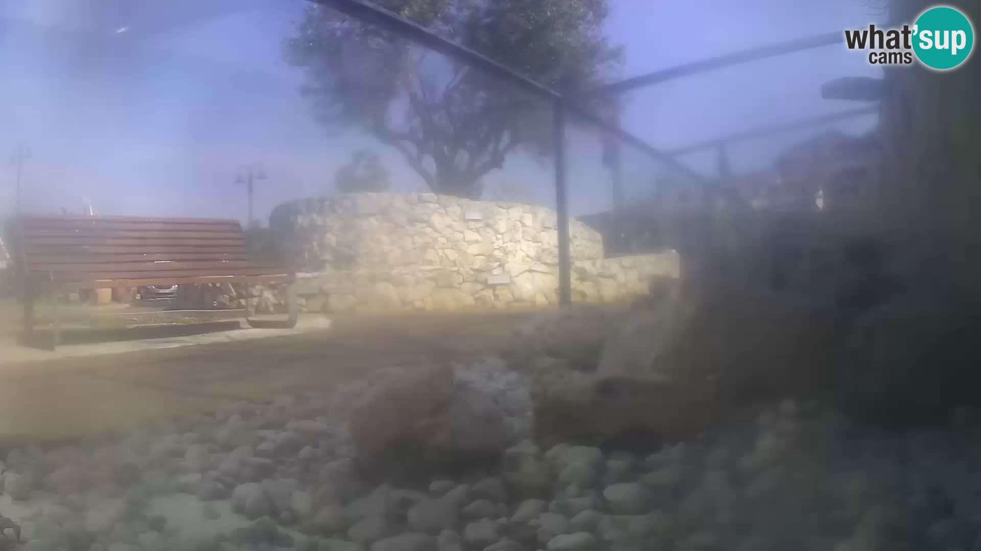 Marine Aquarium im Freien Rogoznica webcam Kroatien