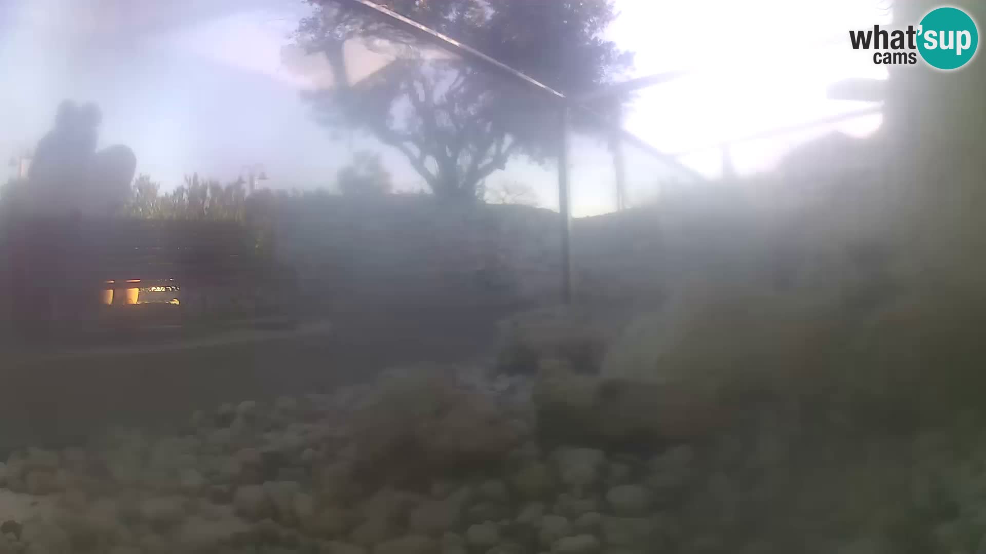 Webcam de l’aquarium marin extérieur de Rogoznica Croatie