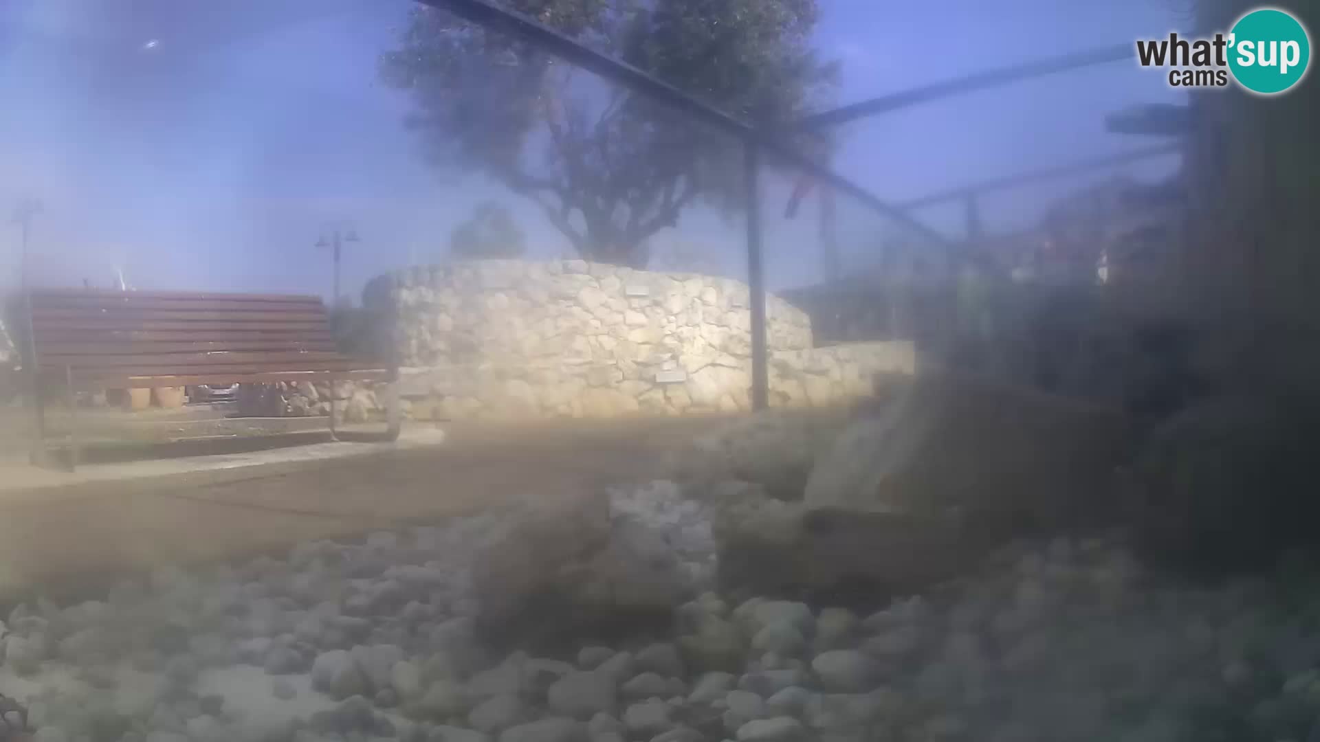 Webcam de l’aquarium marin extérieur de Rogoznica Croatie