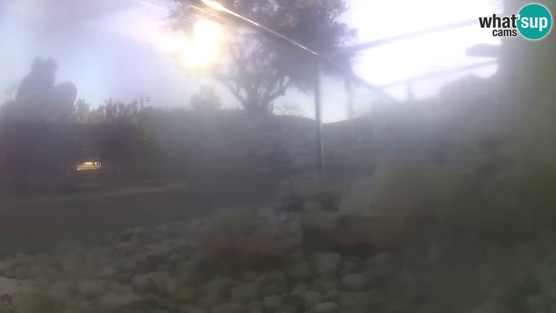 Outdoor Marine Aquarium Rogoznica webcam Croatia