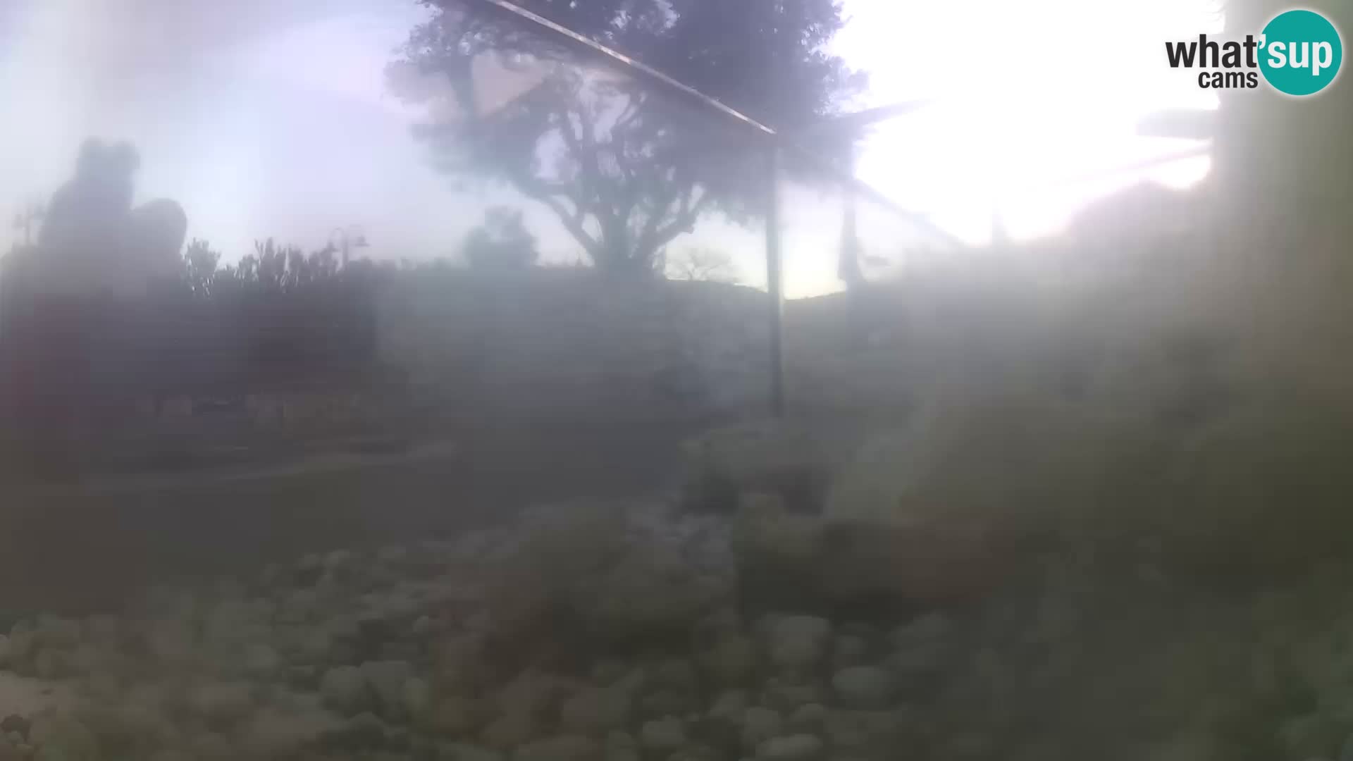 Outdoor Marine Aquarium Rogoznica webcam Croatia