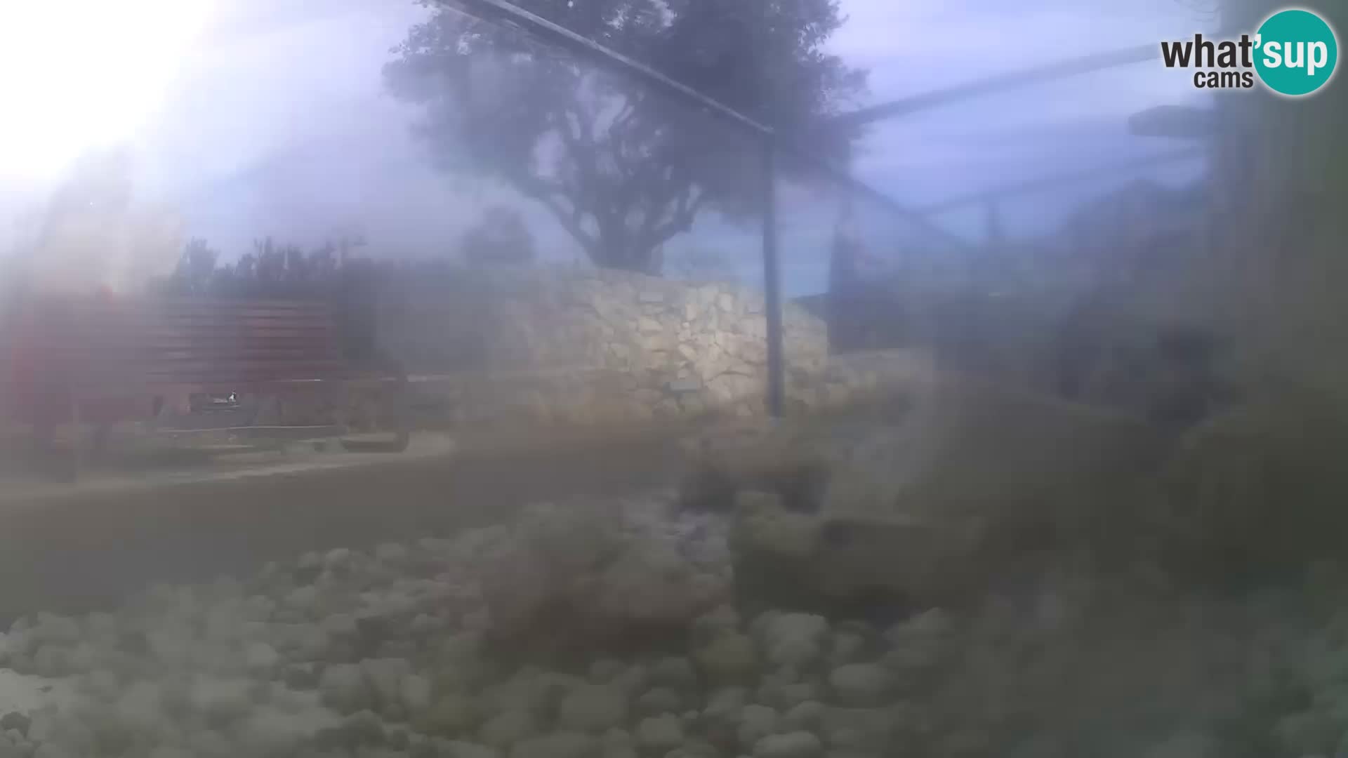 Outdoor Marine Aquarium Rogoznica webcam Croatia