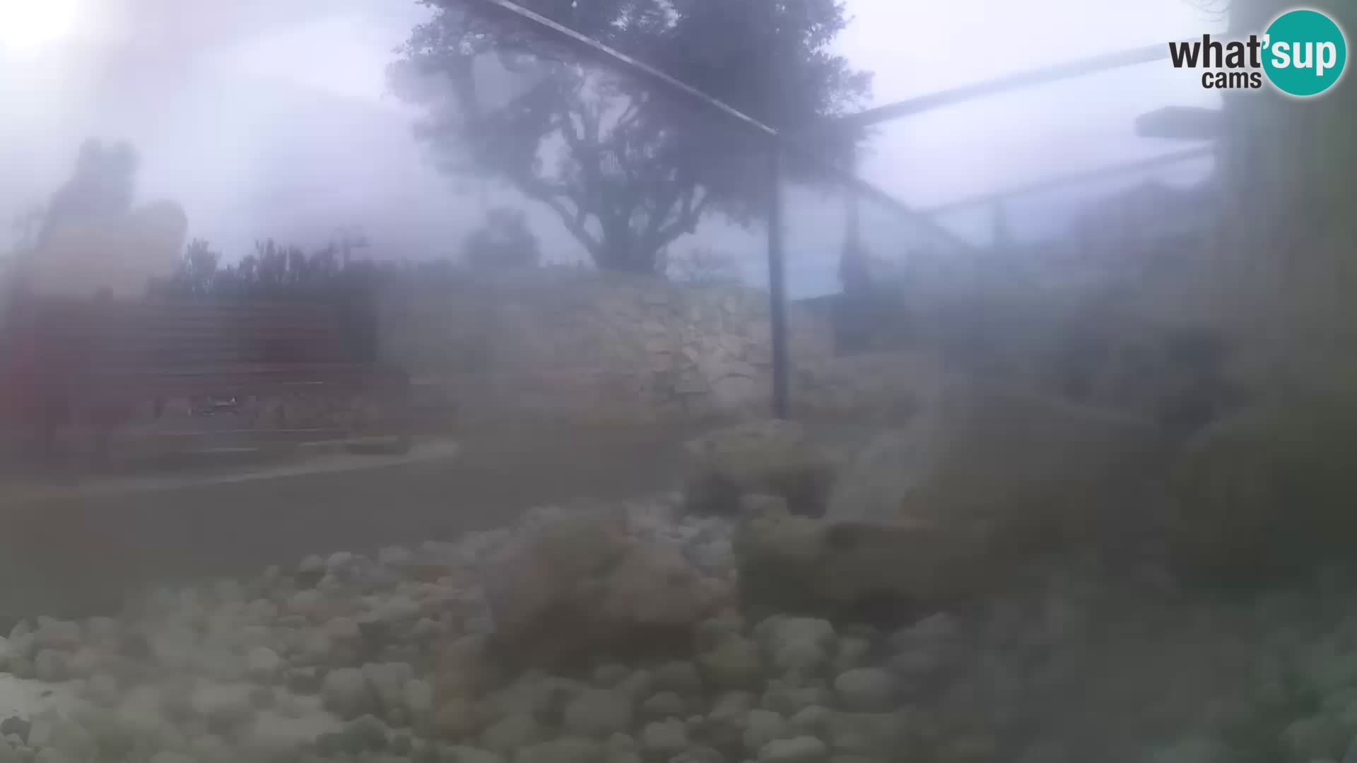 Webcam de l’aquarium marin extérieur de Rogoznica Croatie