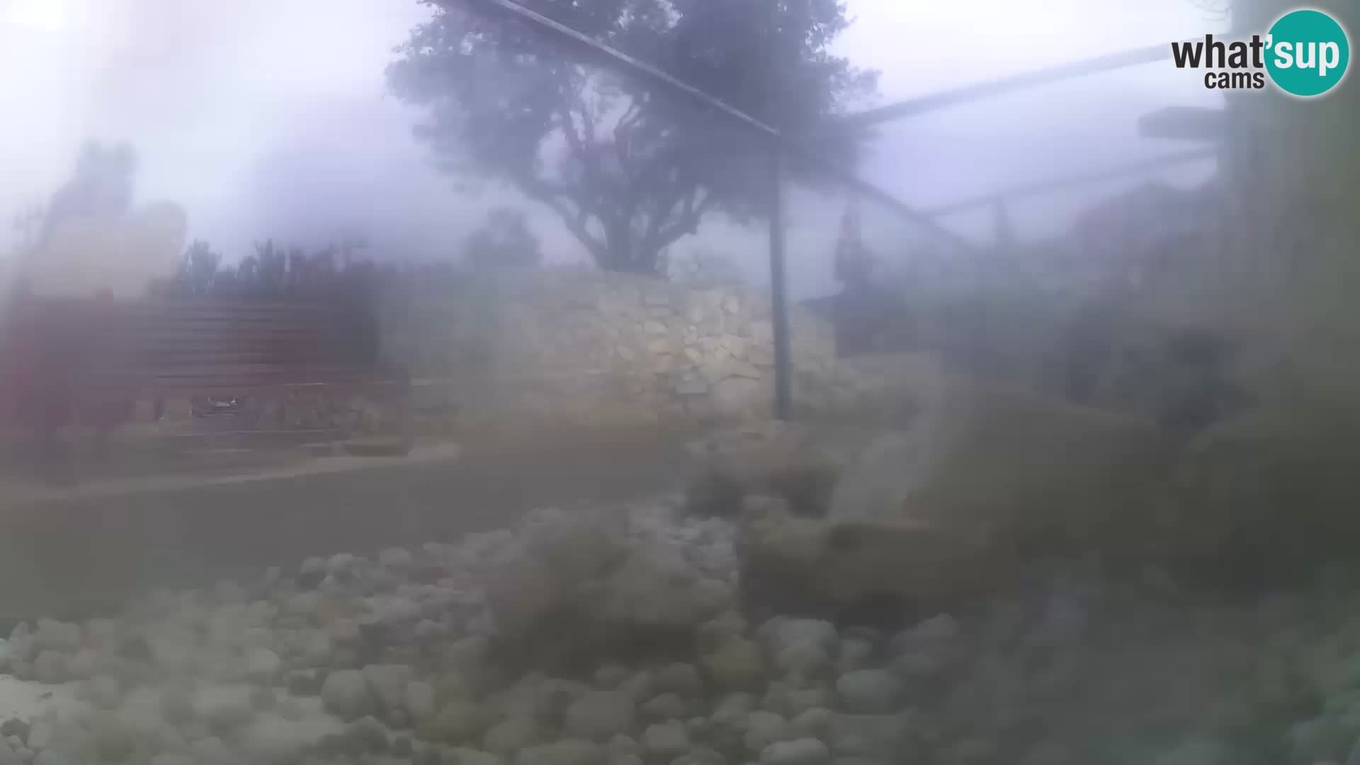 Outdoor Marine Aquarium Rogoznica webcam Croatia