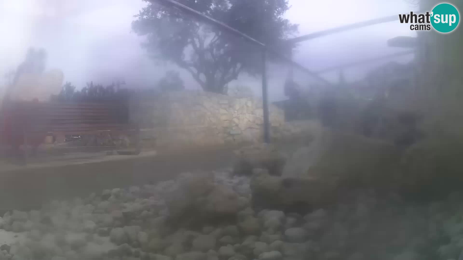 Webcam de l’aquarium marin extérieur de Rogoznica Croatie