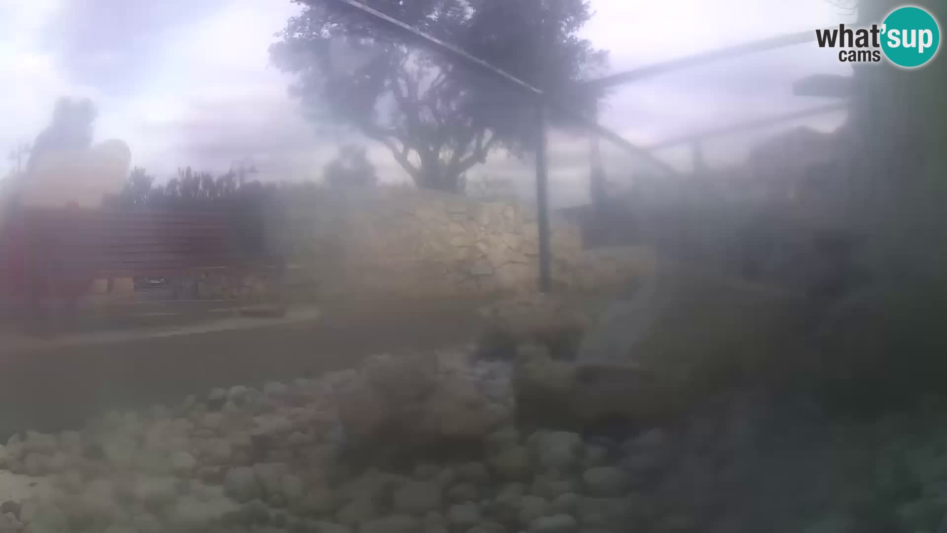 Webcam de l’aquarium marin extérieur de Rogoznica Croatie