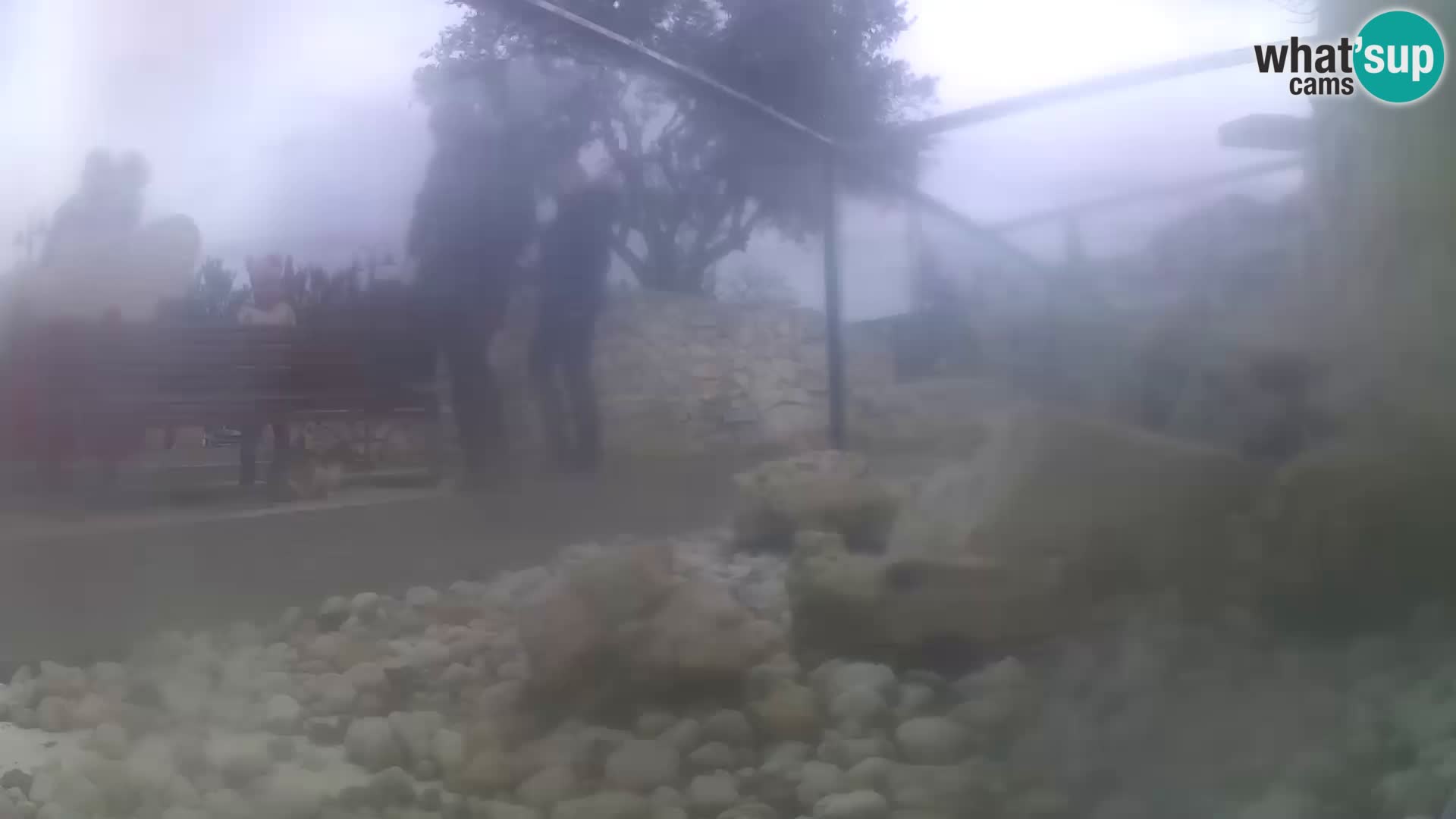 Outdoor Marine Aquarium Rogoznica webcam Croatia