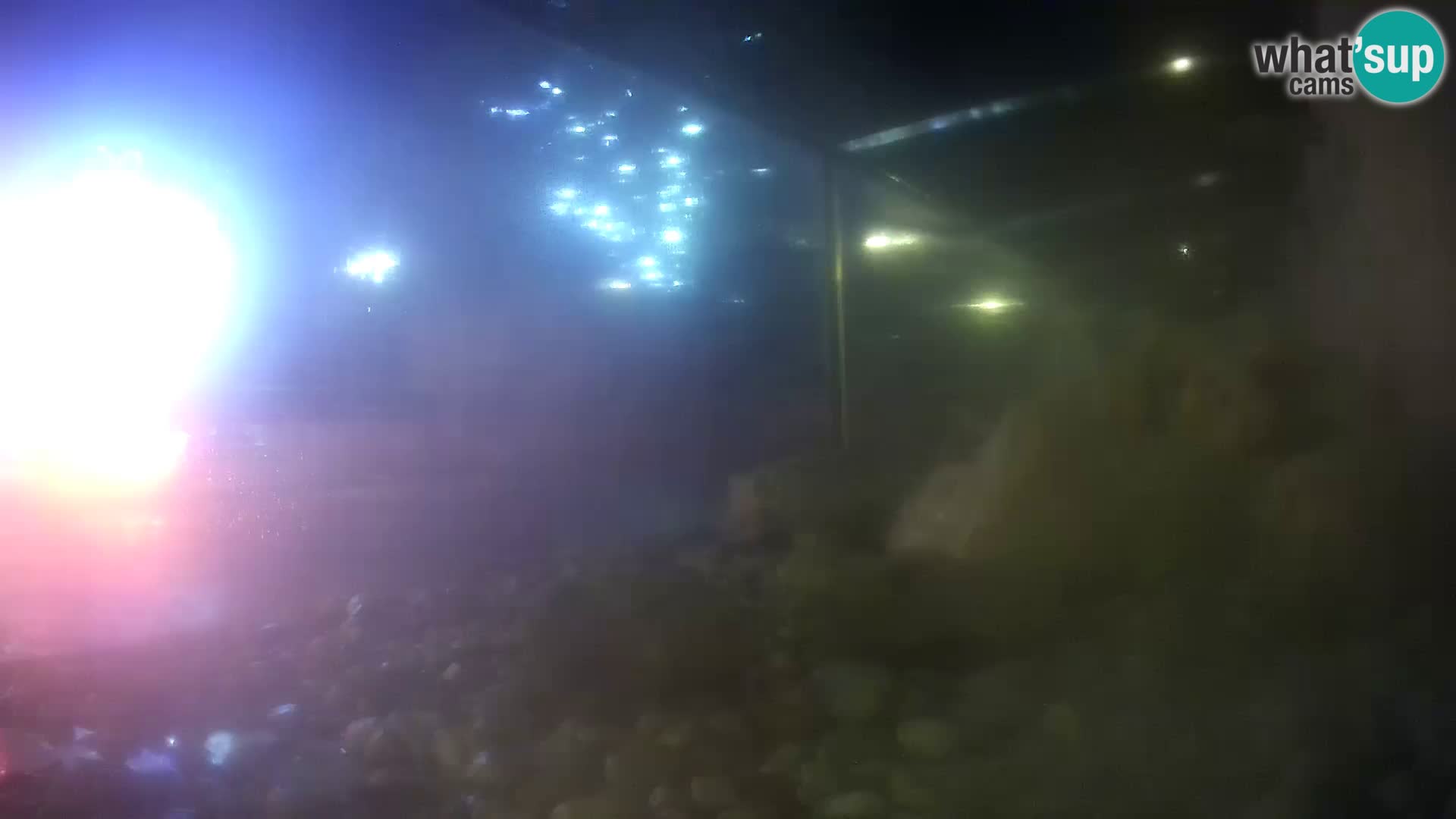 Outdoor Marine Aquarium Rogoznica webcam Croatia