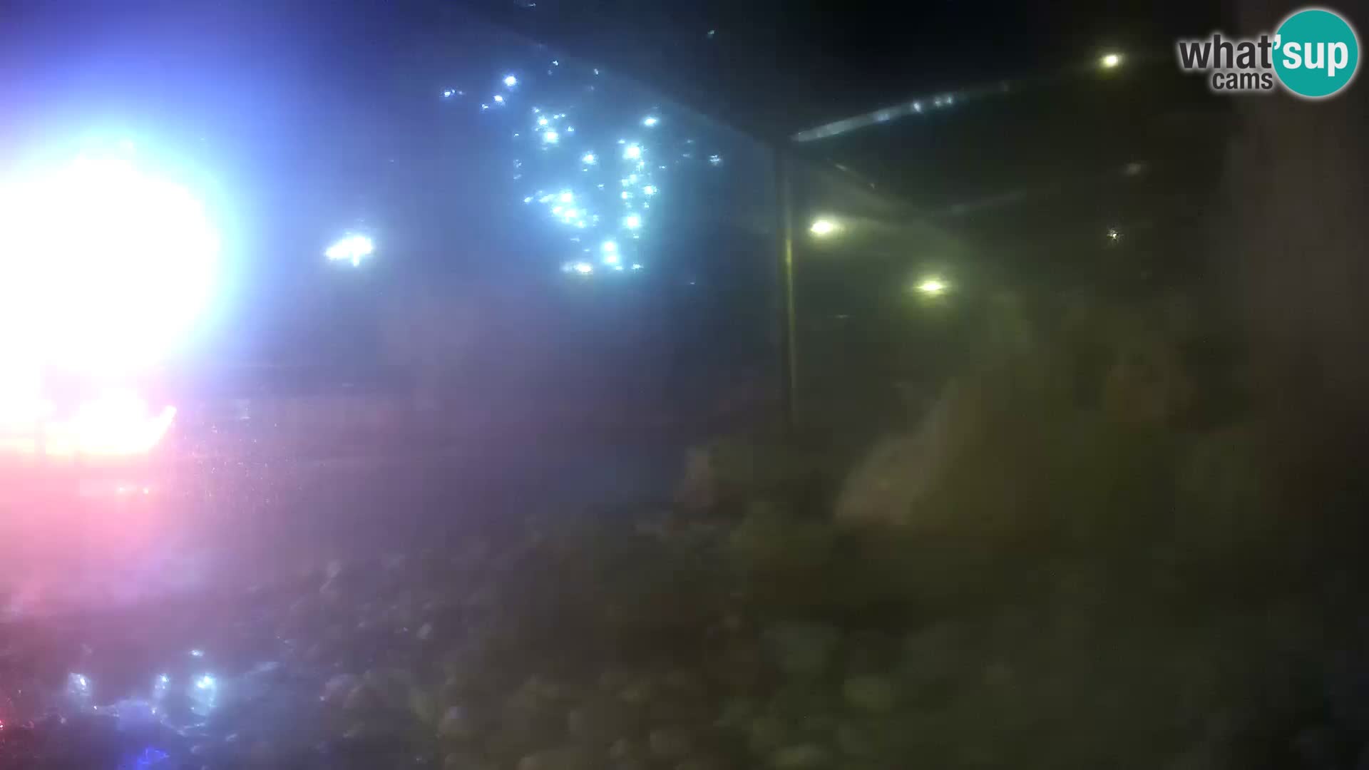 Aquario marino esterno –  Rogoznica livecam Croazia