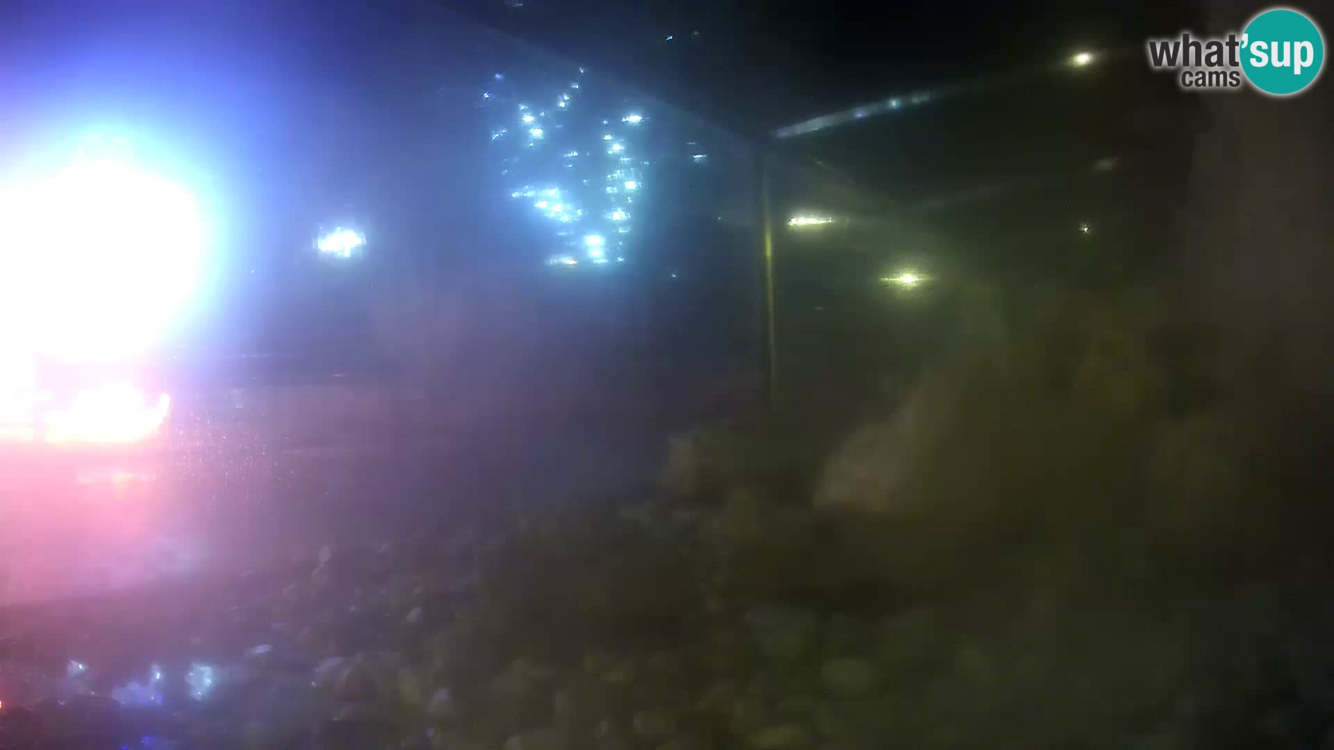 Outdoor Marine Aquarium Rogoznica webcam Croatia