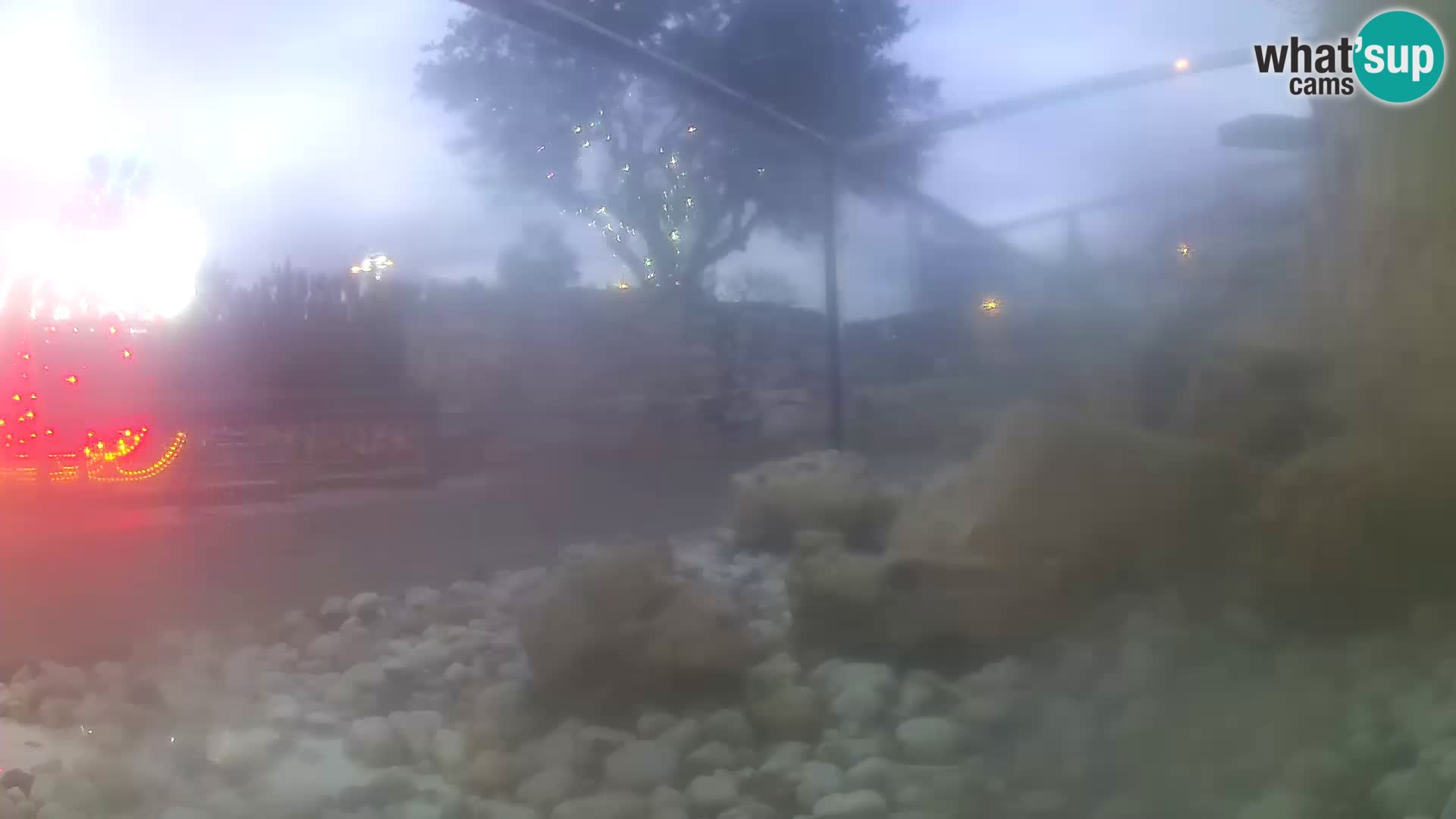 Outdoor Marine Aquarium Rogoznica webcam Croatia