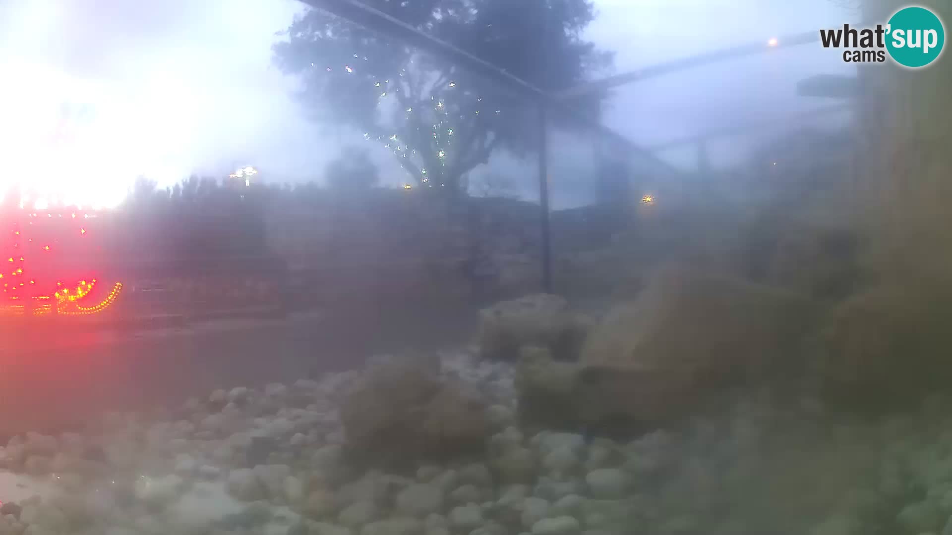 Marine Aquarium im Freien Rogoznica webcam Kroatien