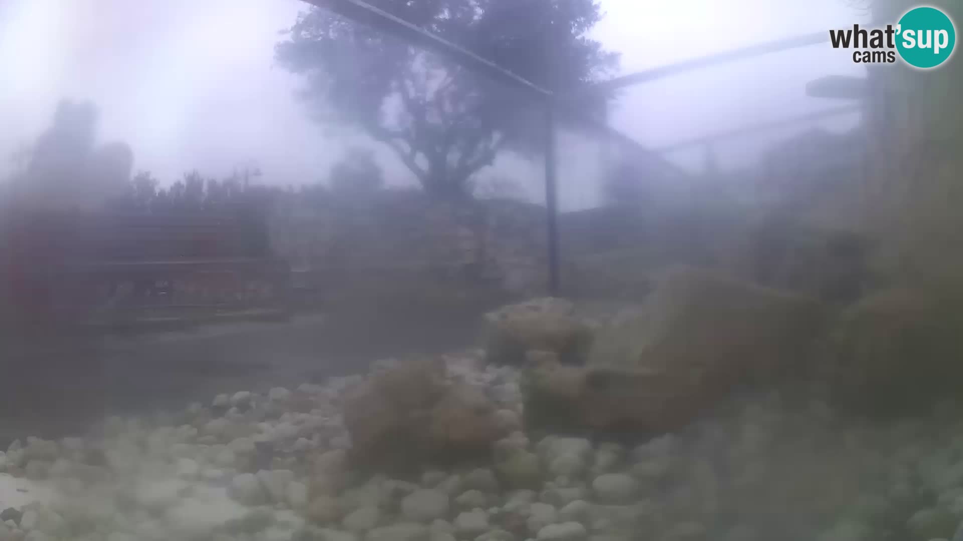 Webcam de l’aquarium marin extérieur de Rogoznica Croatie