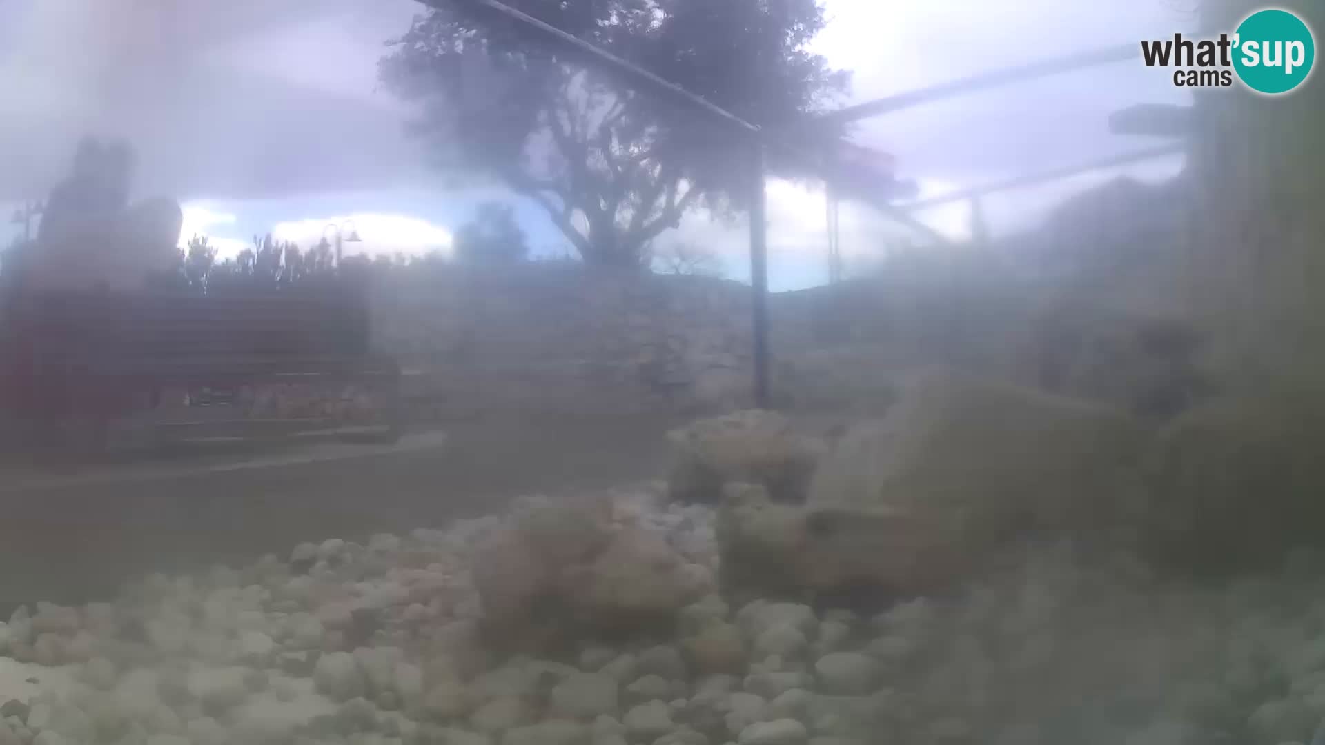 Aquario marino esterno –  Rogoznica livecam Croazia