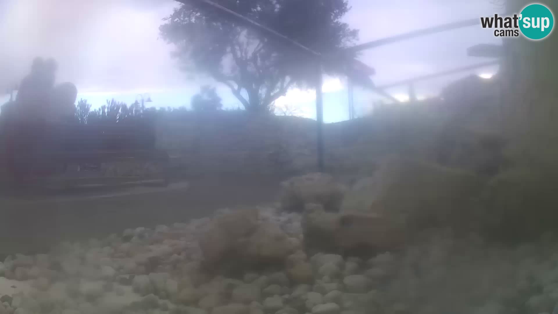 Webcam de l’aquarium marin extérieur de Rogoznica Croatie