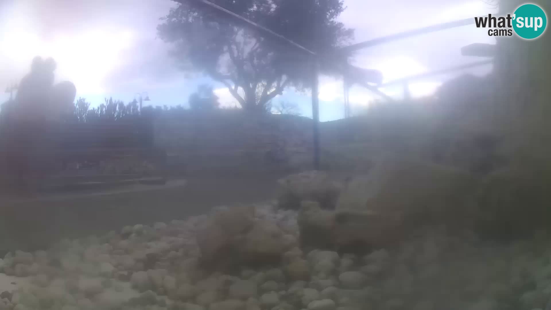 Aquario marino esterno –  Rogoznica livecam Croazia