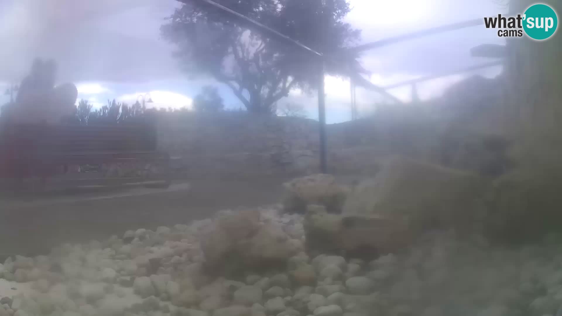 Aquario marino esterno –  Rogoznica livecam Croazia