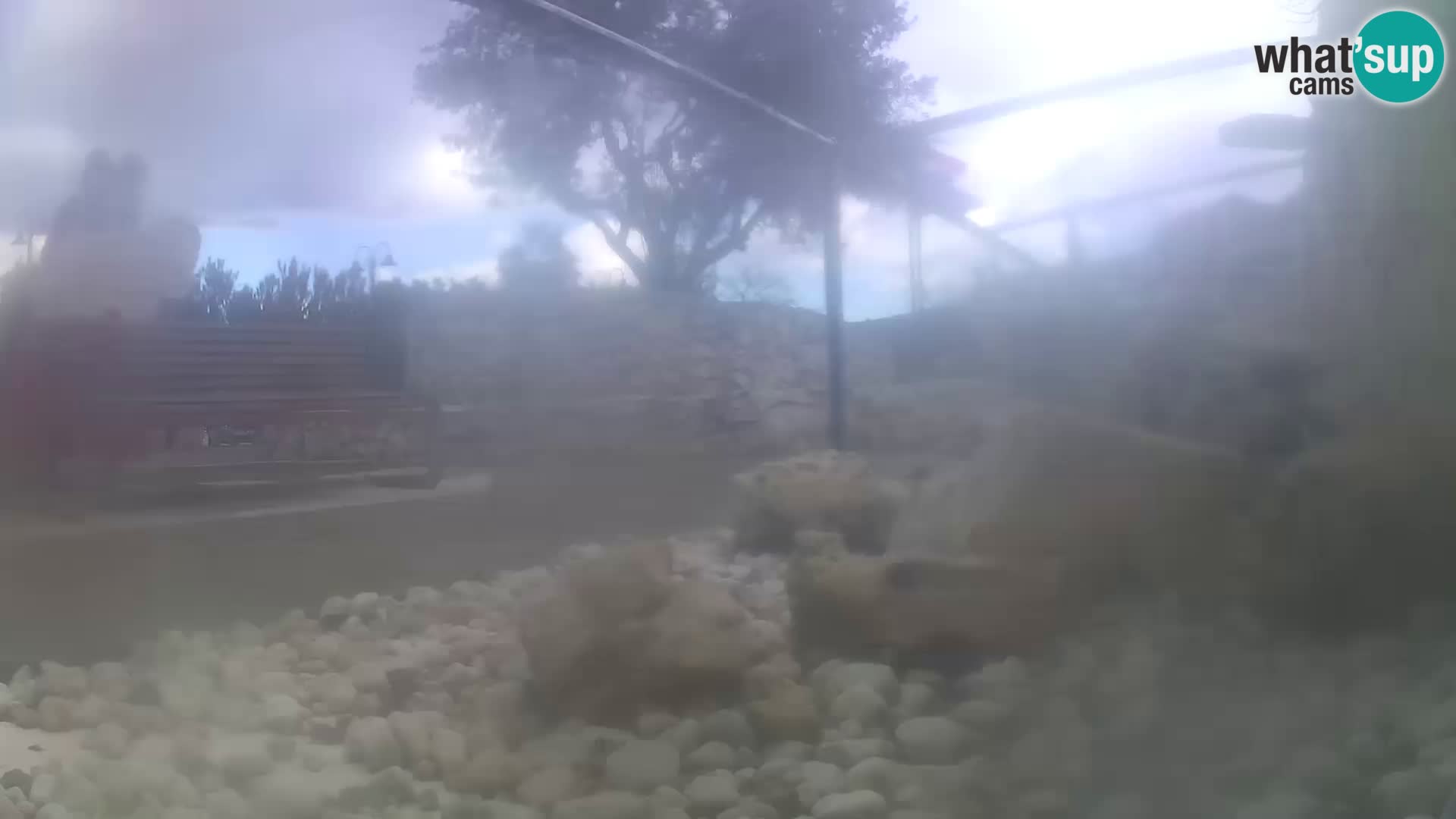 Aquario marino esterno –  Rogoznica livecam Croazia