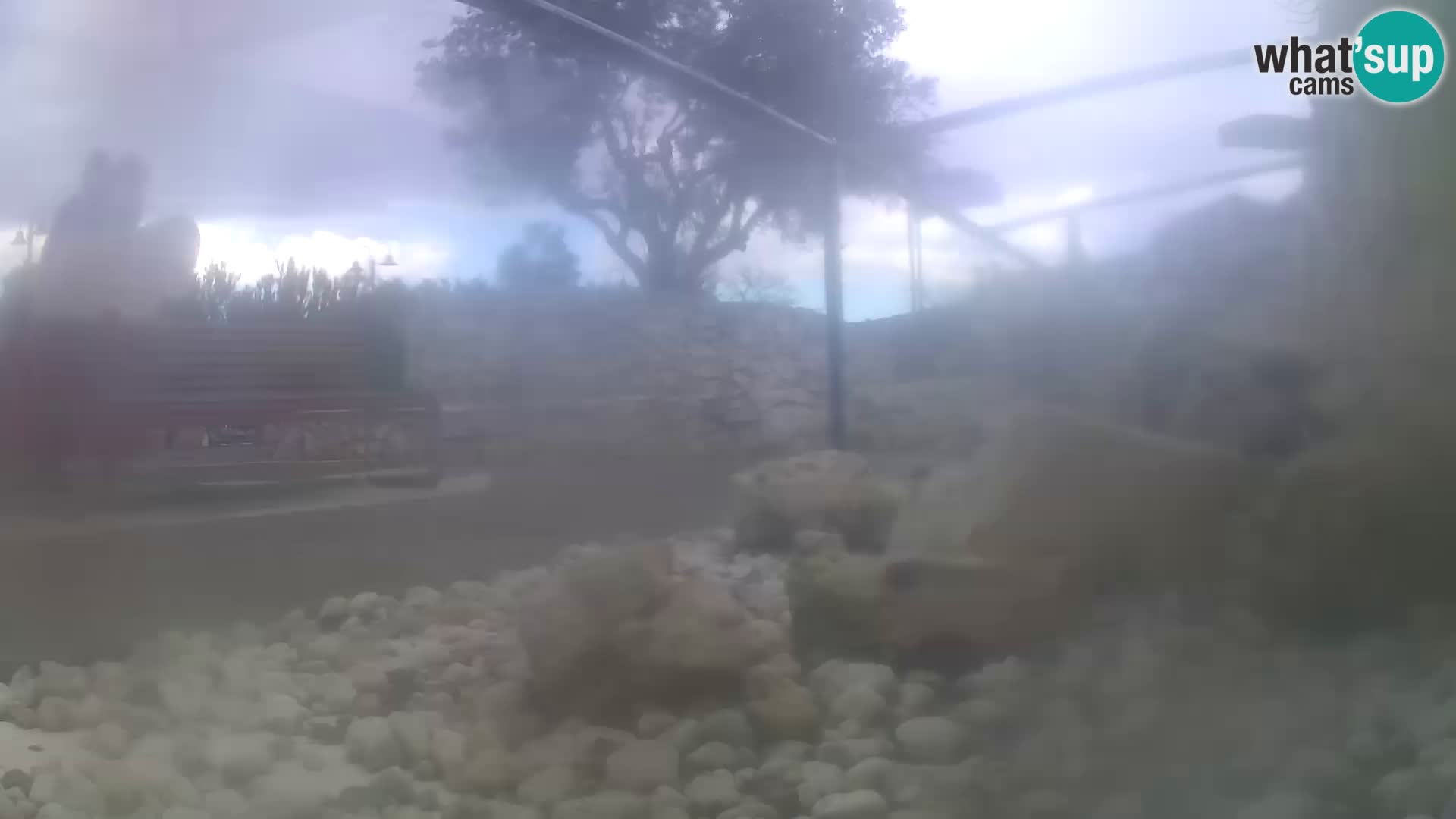 Webcam de l’aquarium marin extérieur de Rogoznica Croatie