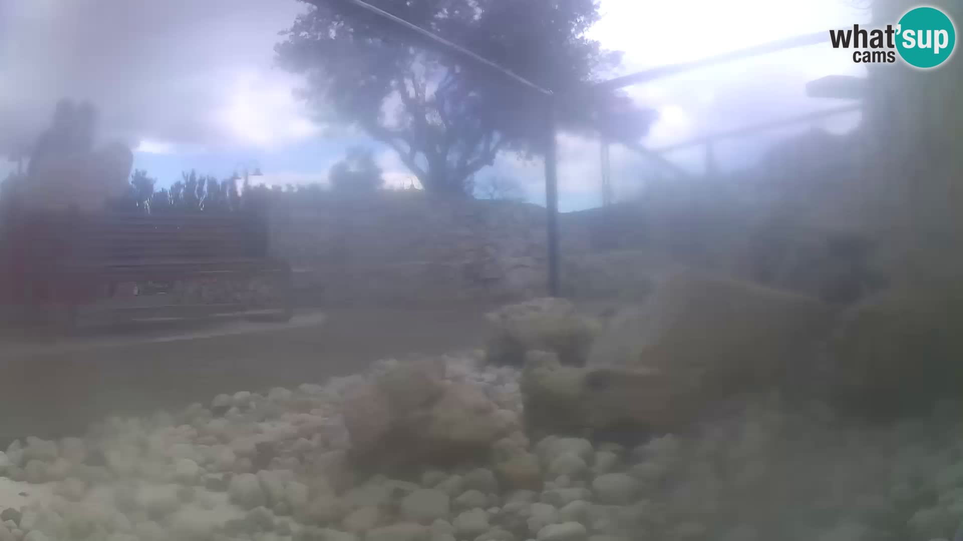 Webcam de l’aquarium marin extérieur de Rogoznica Croatie