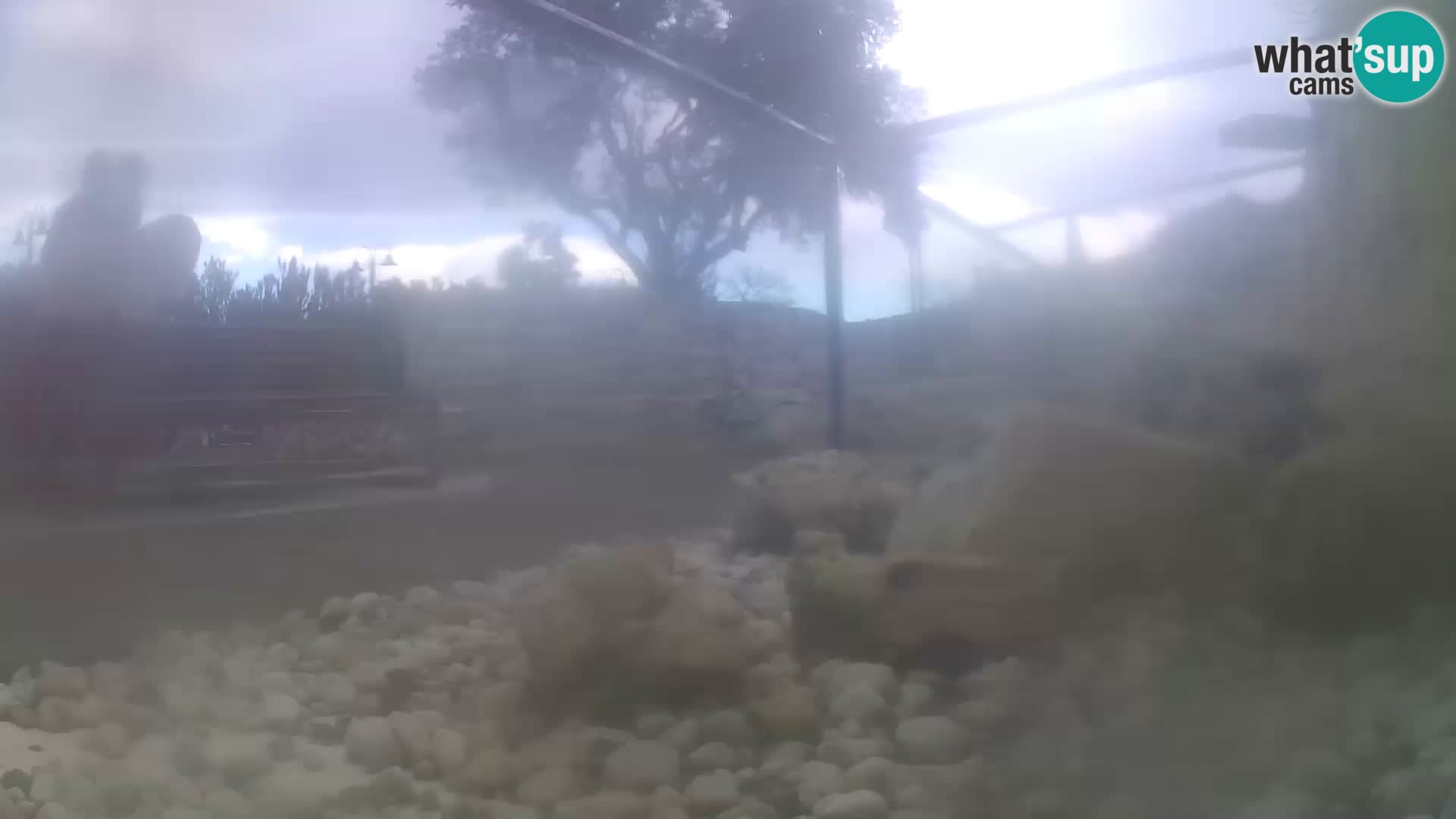 Aquario marino esterno –  Rogoznica livecam Croazia