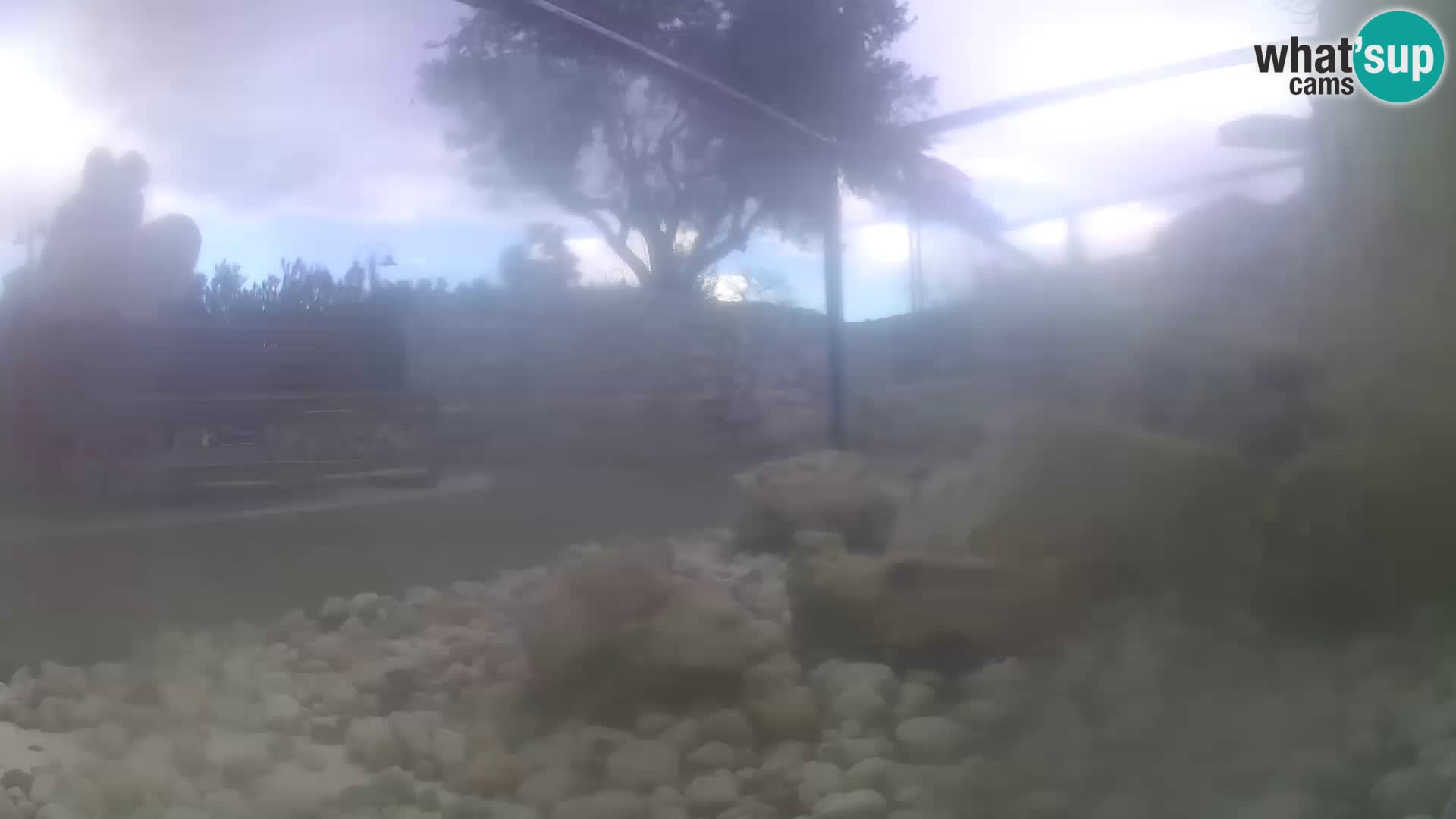 Aquario marino esterno –  Rogoznica livecam Croazia