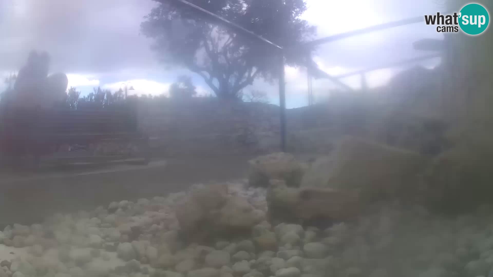 Webcam de l’aquarium marin extérieur de Rogoznica Croatie