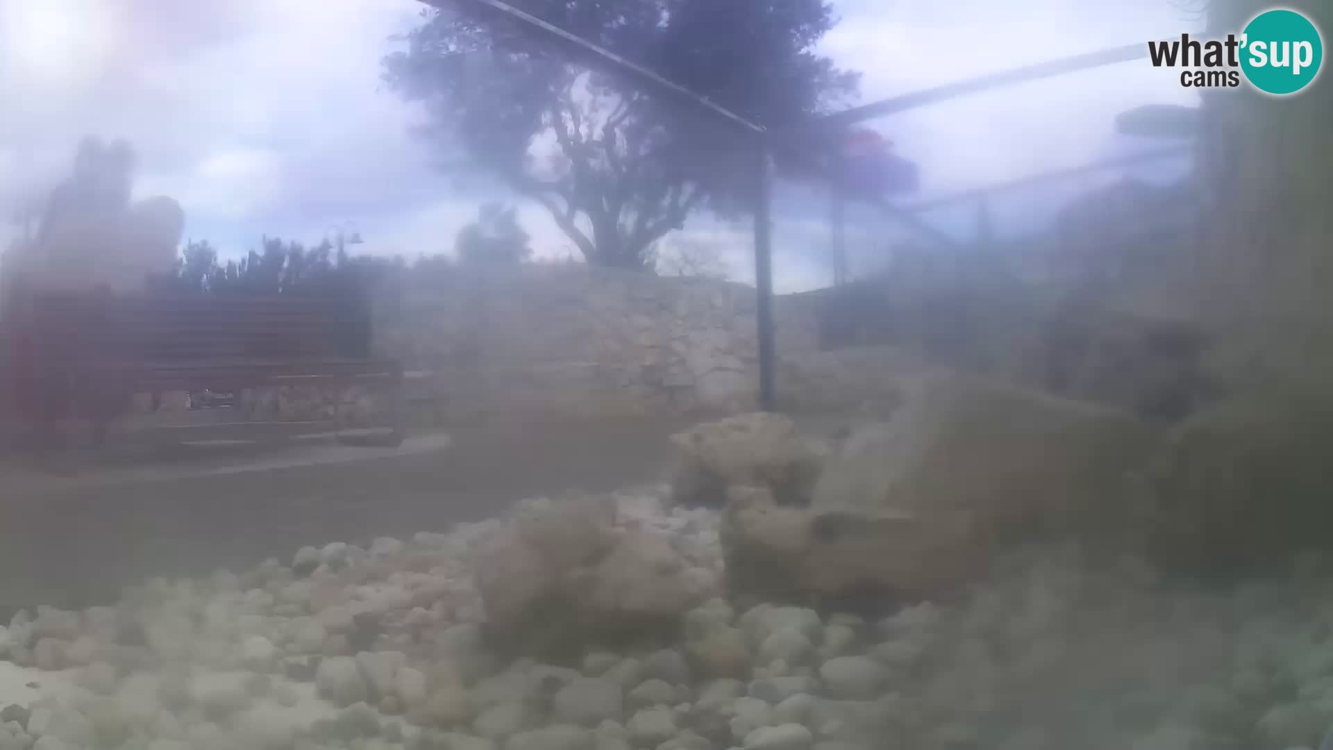 Aquario marino esterno –  Rogoznica livecam Croazia