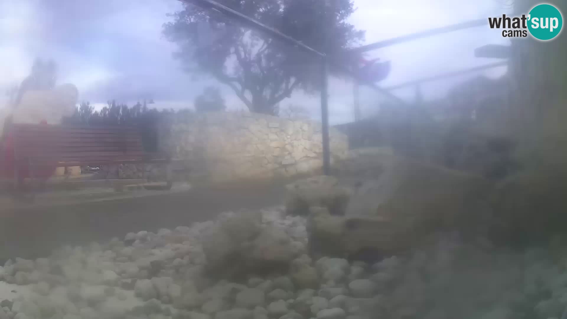 Aquario marino esterno –  Rogoznica livecam Croazia