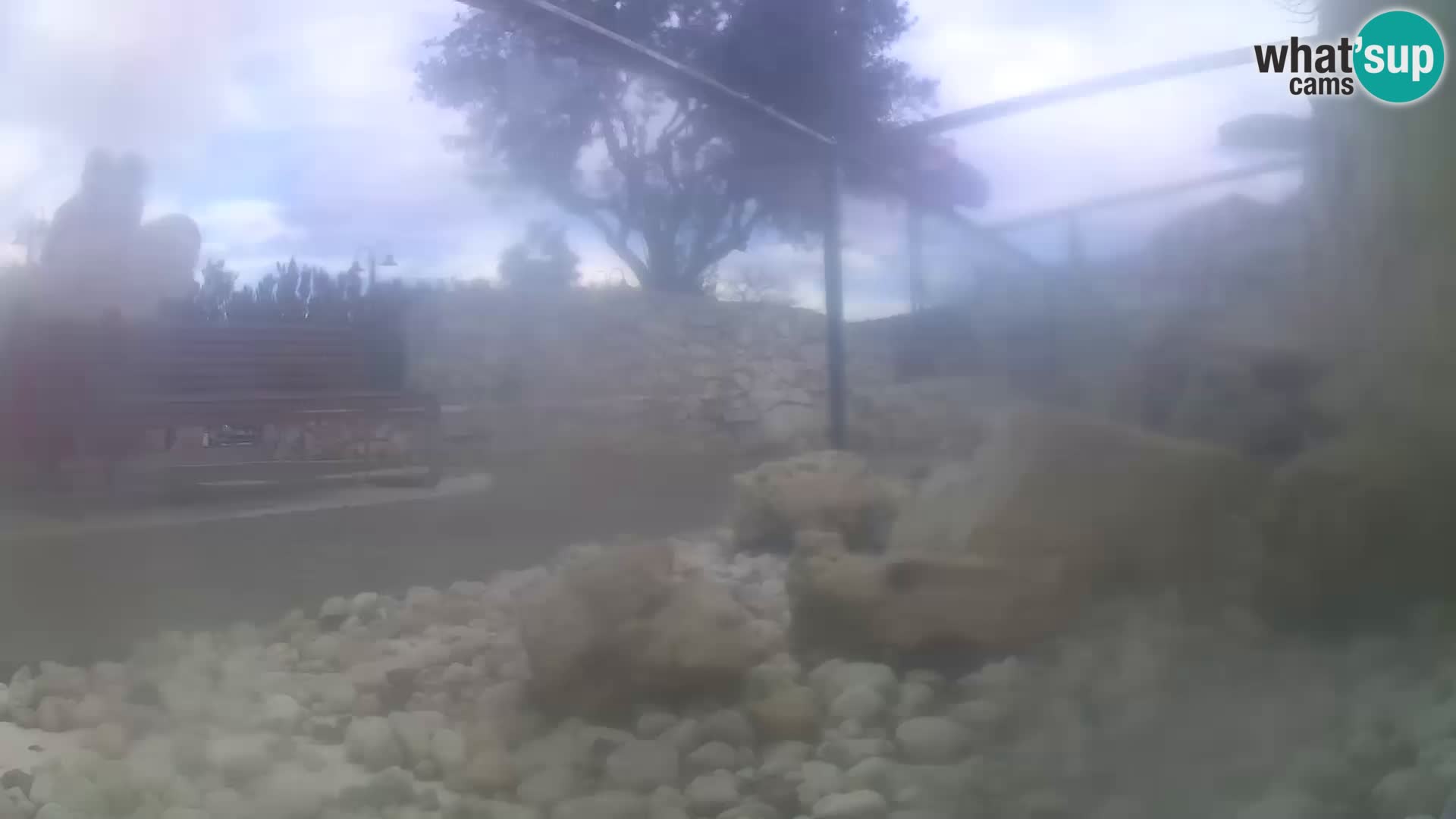 Webcam de l’aquarium marin extérieur de Rogoznica Croatie