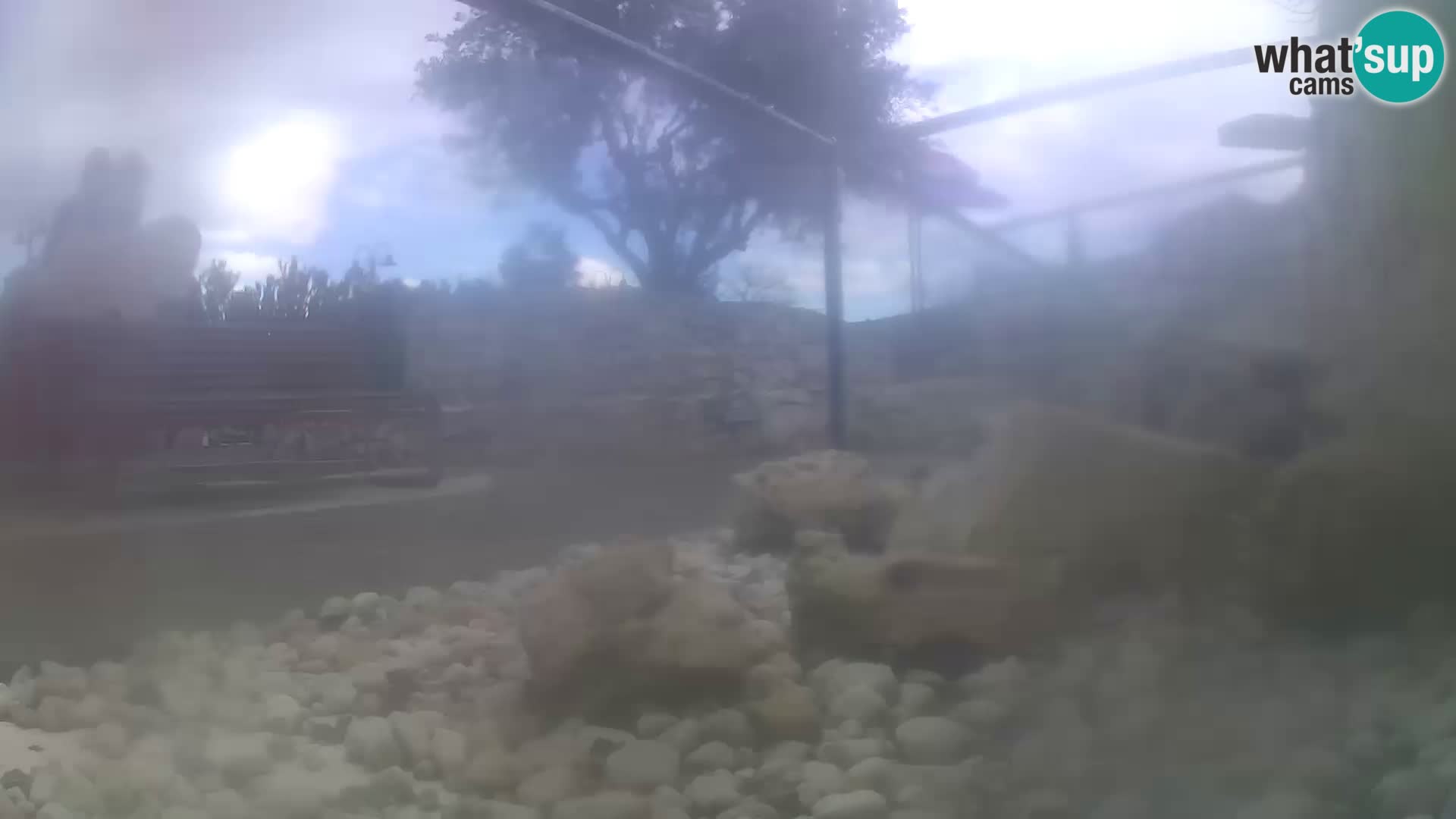 Aquario marino esterno –  Rogoznica livecam Croazia