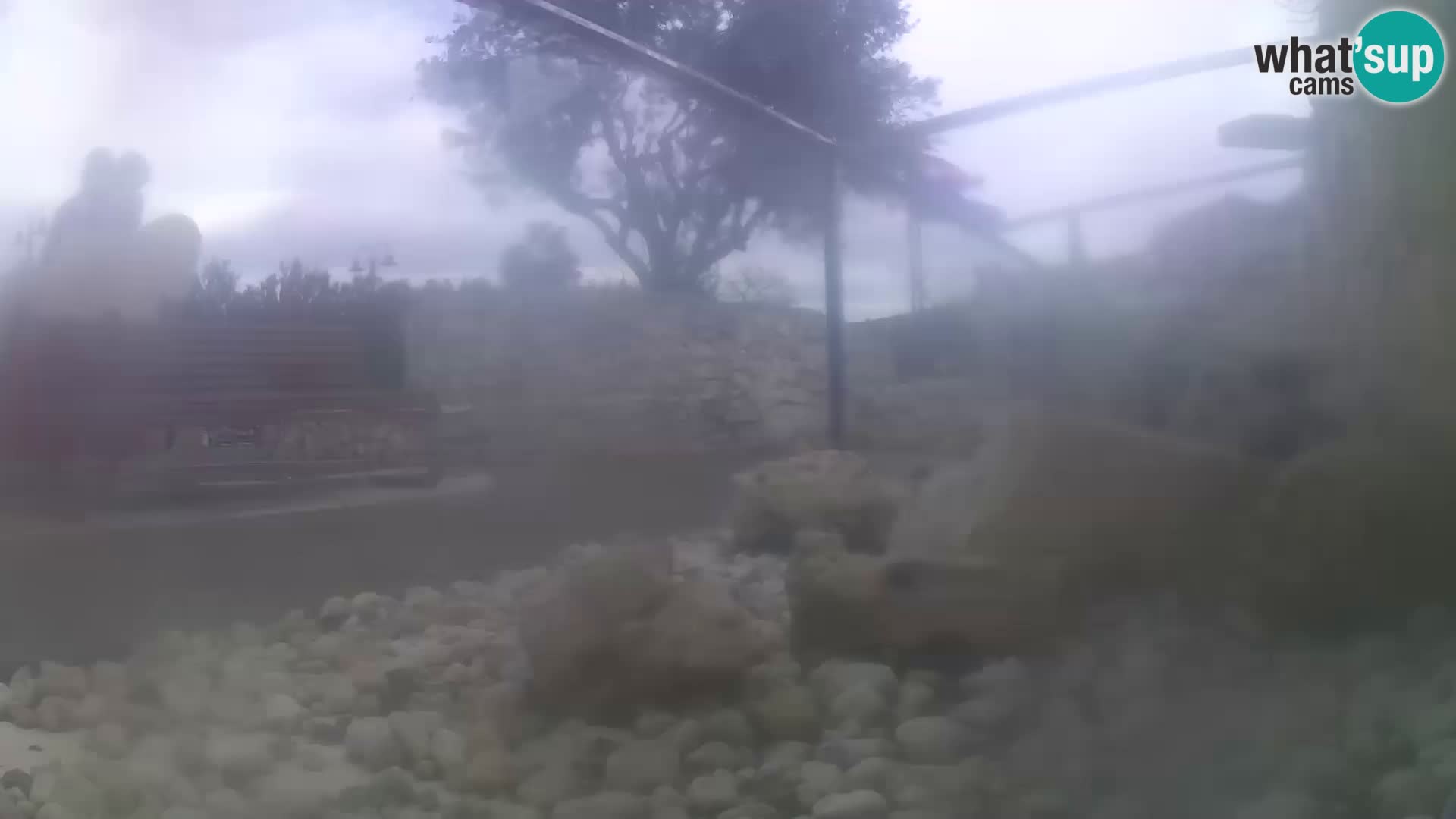 Outdoor Marine Aquarium Rogoznica webcam Croatia