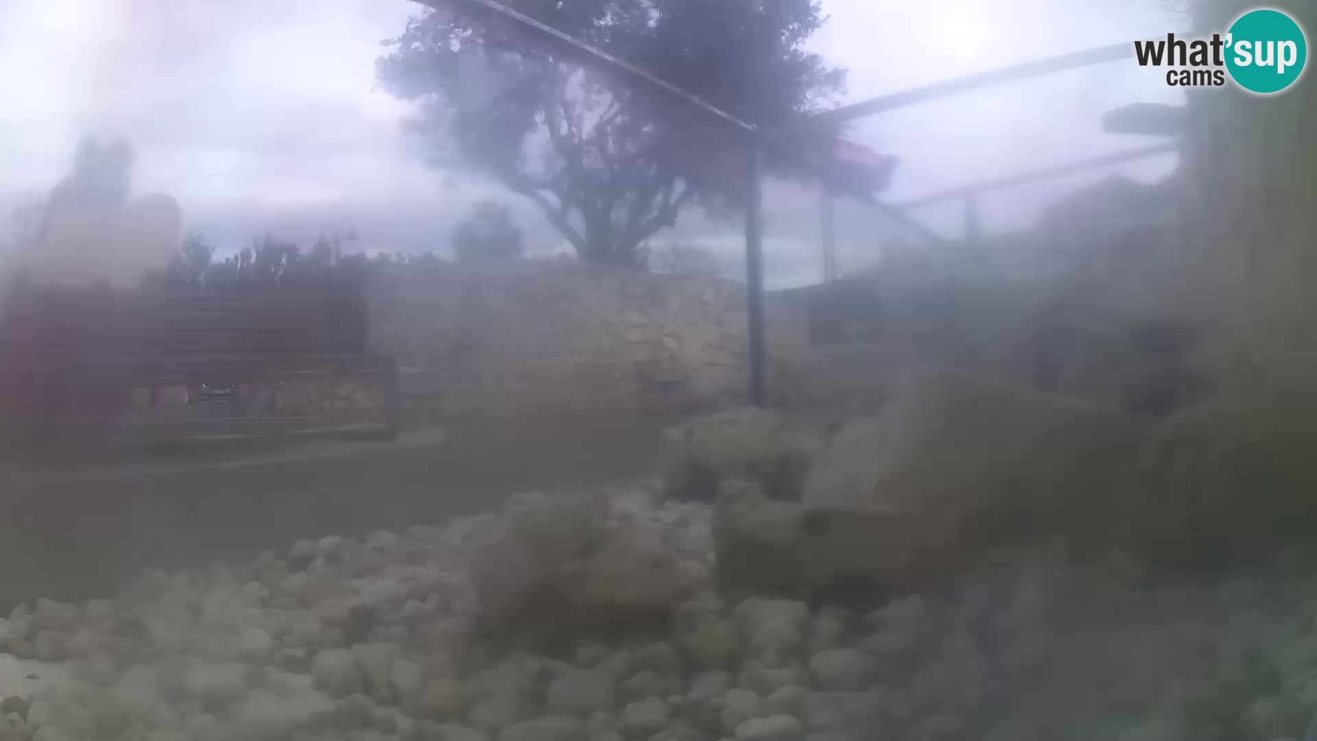 Webcam de l’aquarium marin extérieur de Rogoznica Croatie