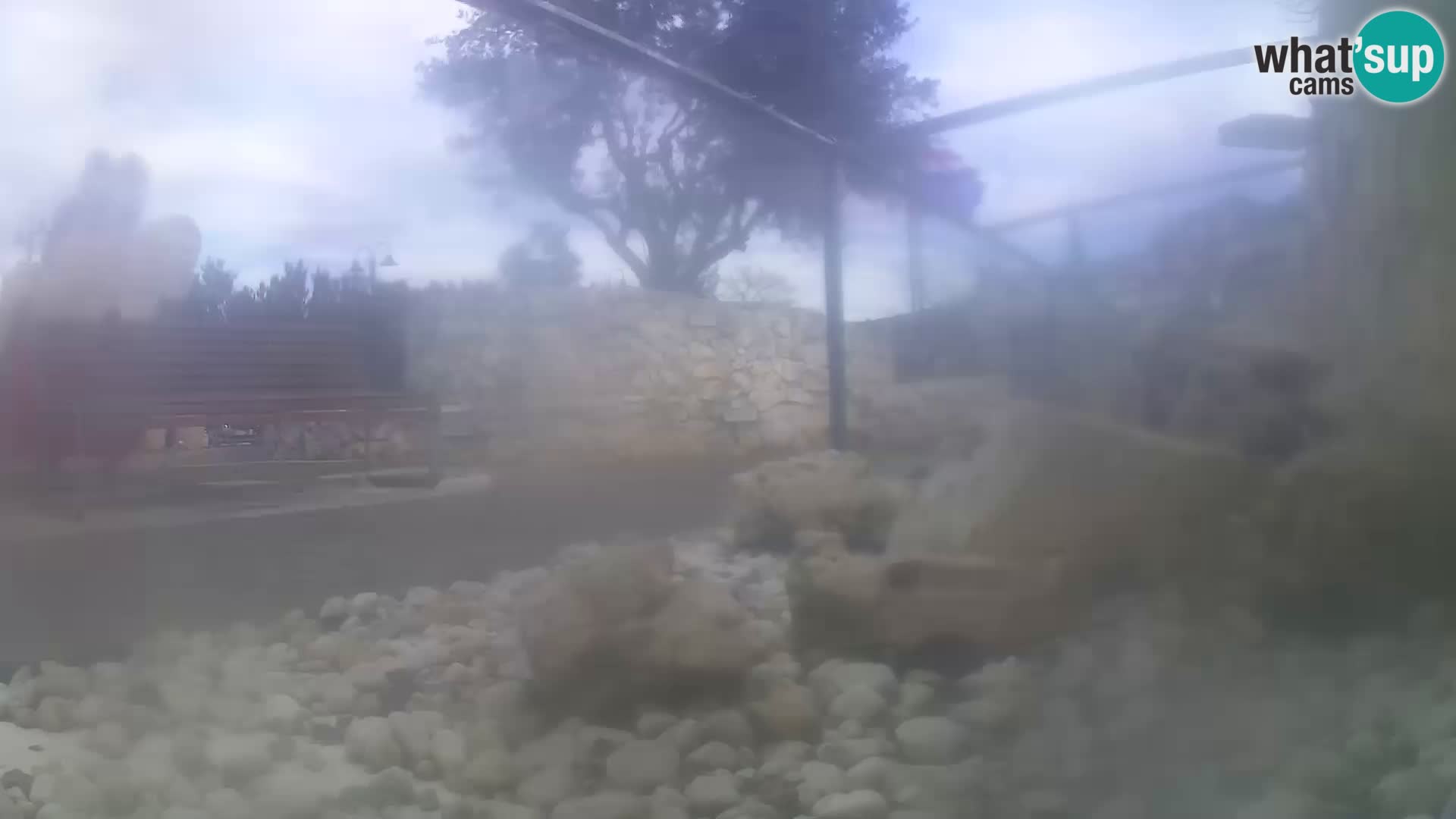 Outdoor Marine Aquarium Rogoznica webcam Croatia