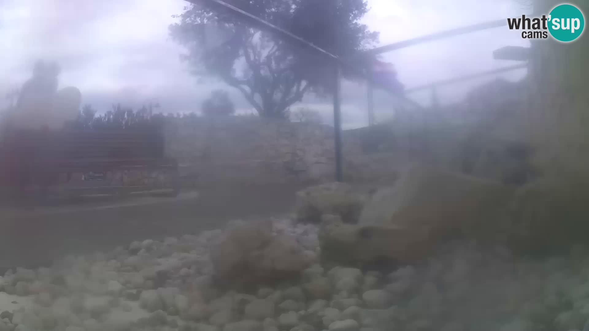 Outdoor Marine Aquarium Rogoznica webcam Croatia