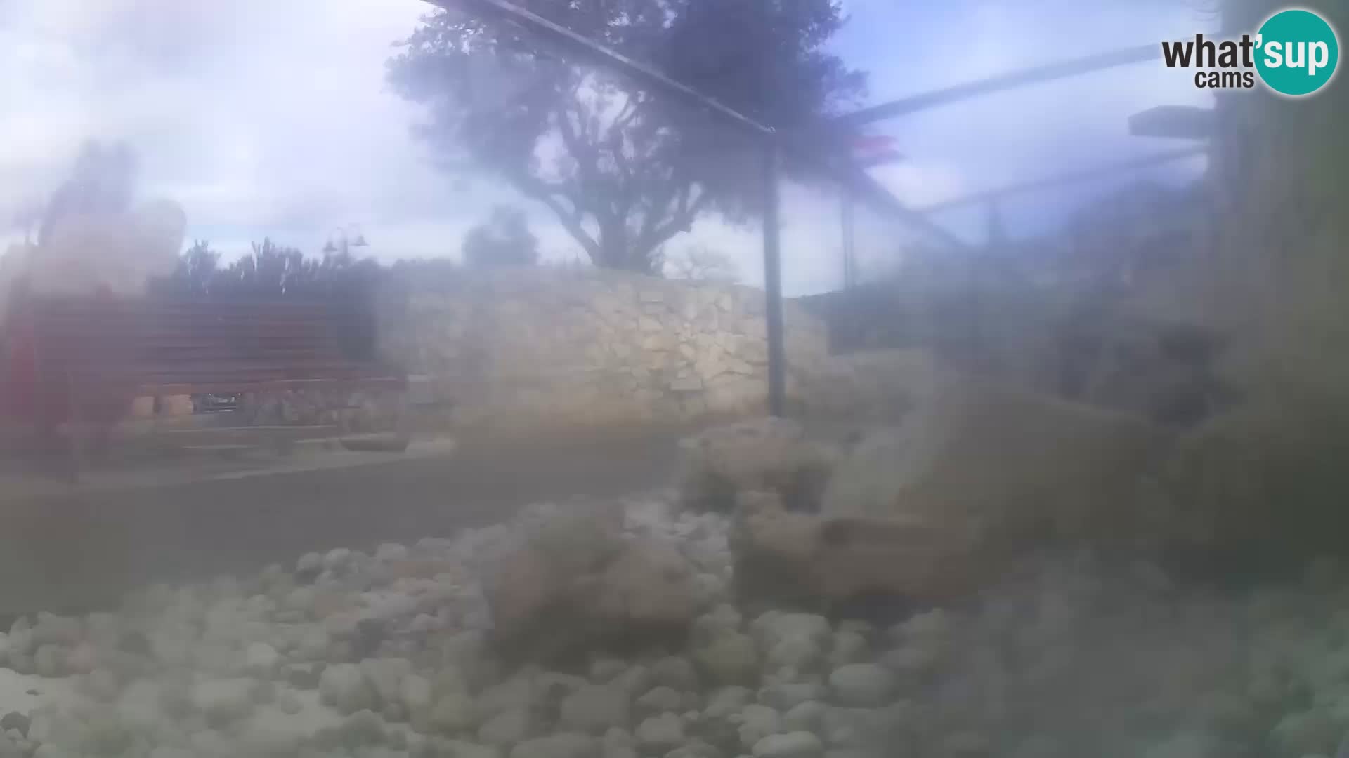 Outdoor Marine Aquarium Rogoznica webcam Croatia