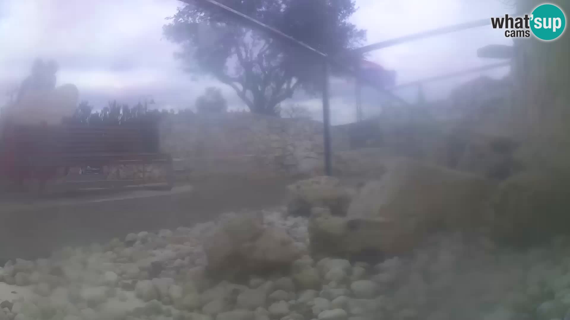 Webcam de l’aquarium marin extérieur de Rogoznica Croatie