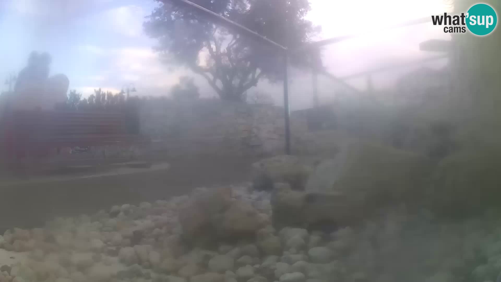 Outdoor Marine Aquarium Rogoznica webcam Croatia