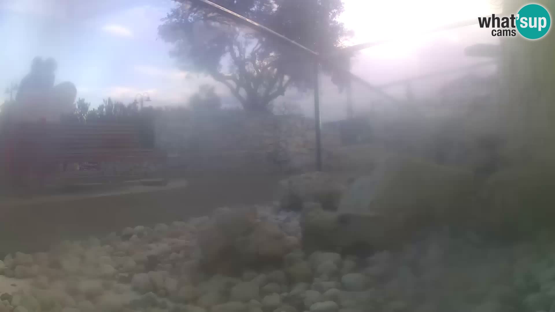 Webcam de l’aquarium marin extérieur de Rogoznica Croatie