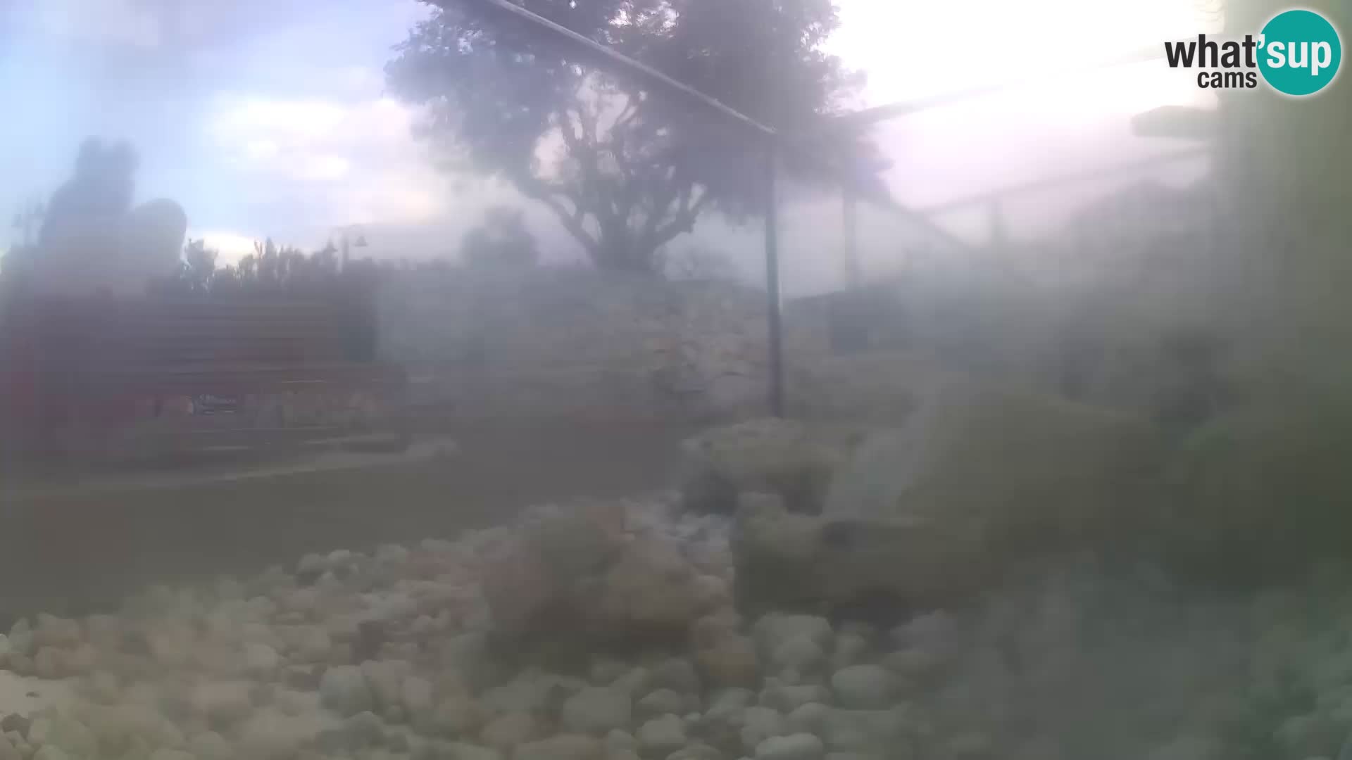 Webcam de l’aquarium marin extérieur de Rogoznica Croatie