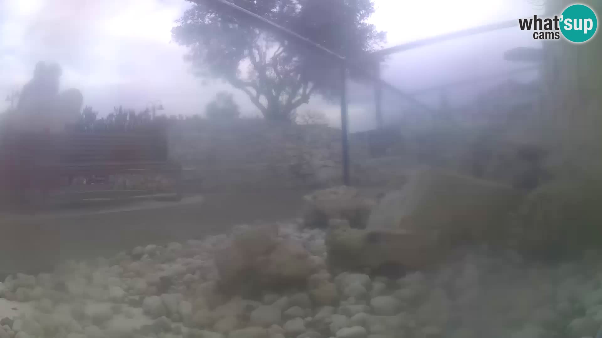 Webcam de l’aquarium marin extérieur de Rogoznica Croatie