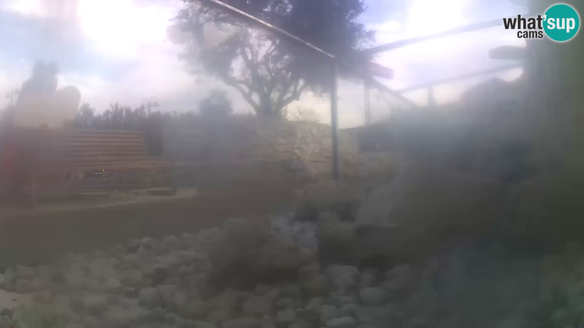 Webcam de l’aquarium marin extérieur de Rogoznica Croatie