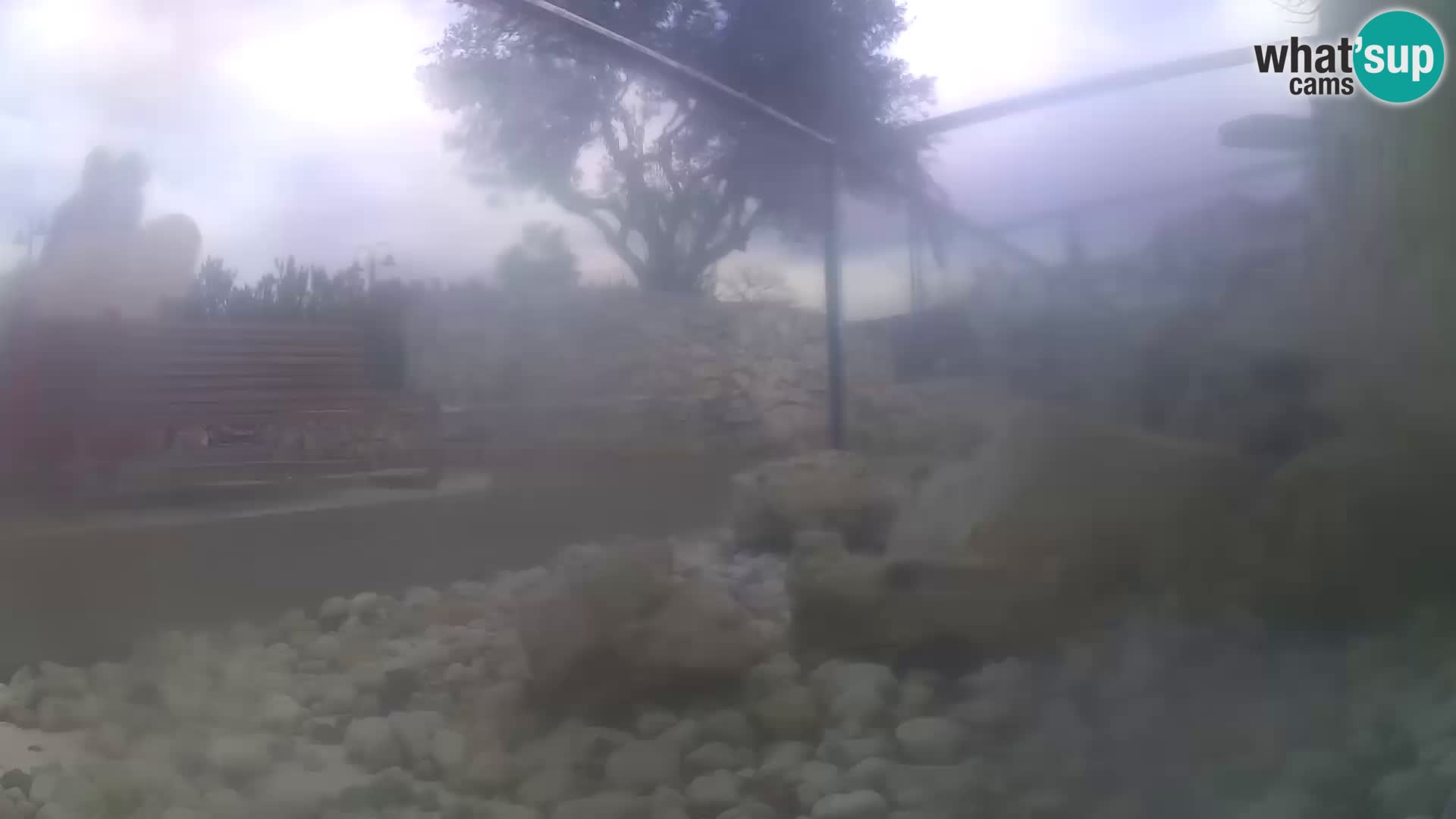 Webcam de l’aquarium marin extérieur de Rogoznica Croatie