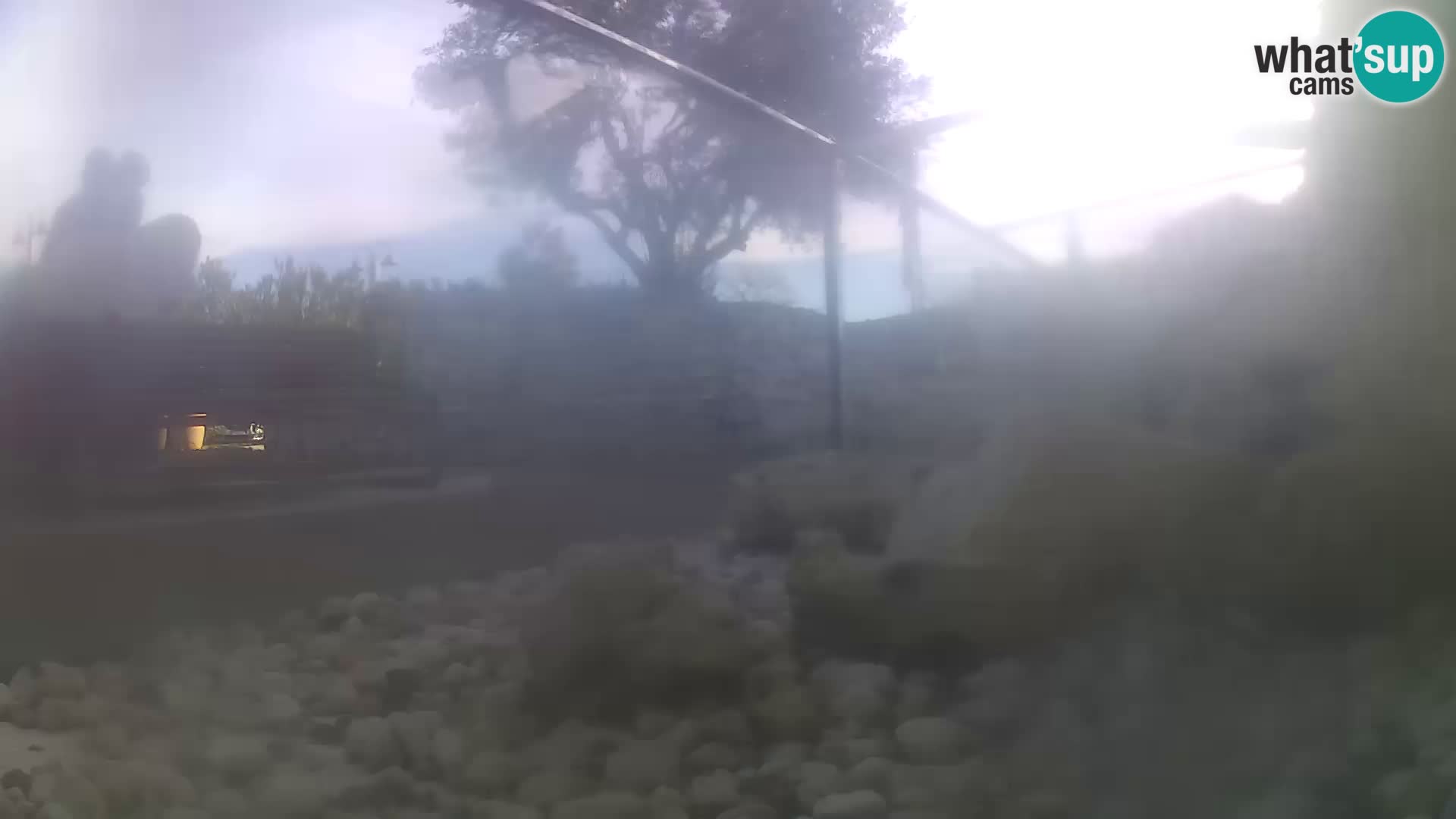 Outdoor Marine Aquarium Rogoznica webcam Croatia