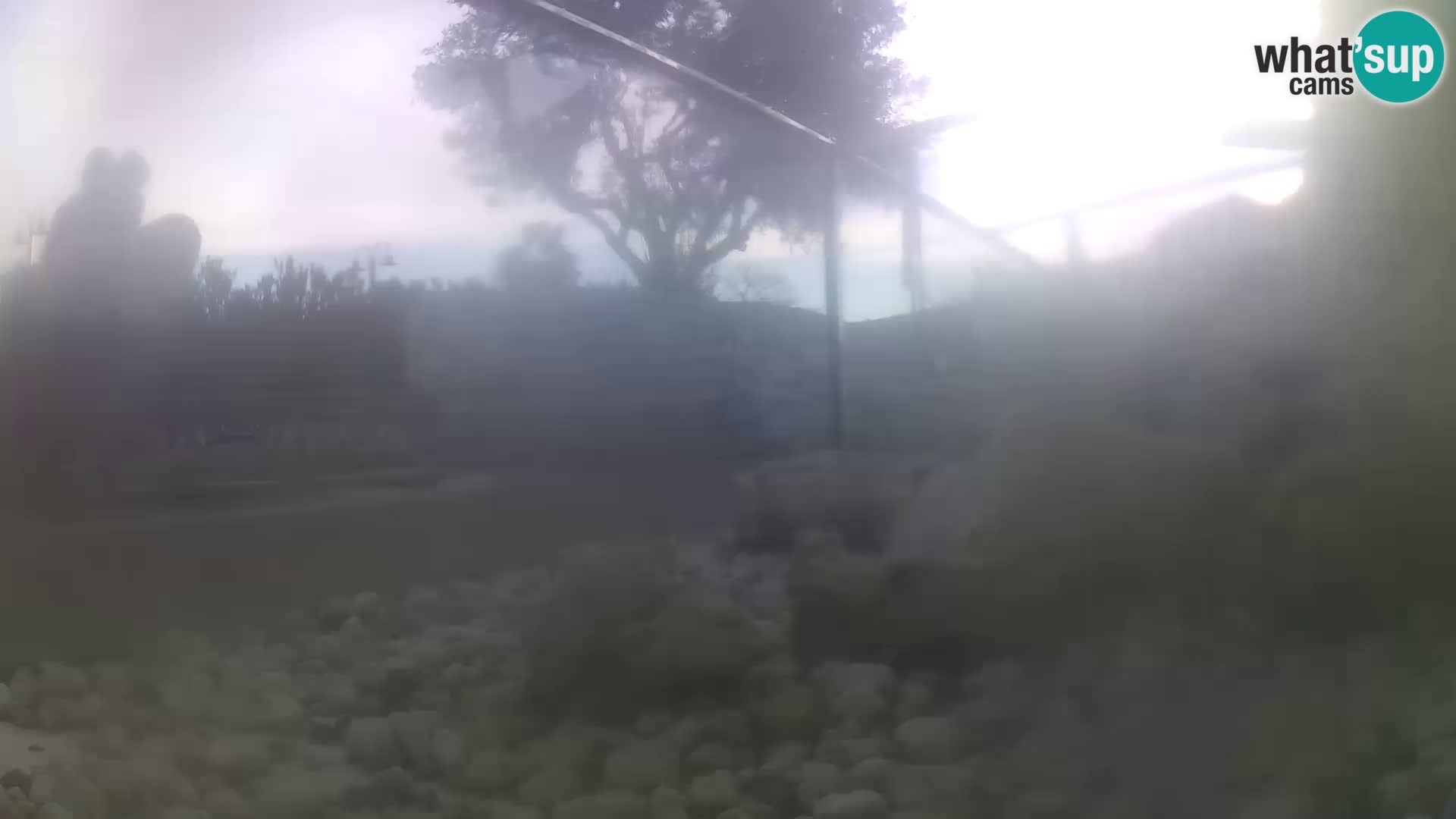 Outdoor Marine Aquarium Rogoznica webcam Croatia