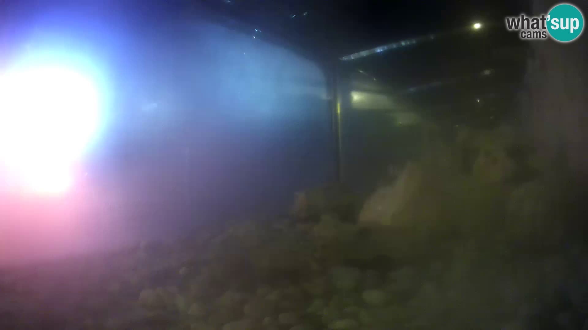 Webcam de l’aquarium marin extérieur de Rogoznica Croatie