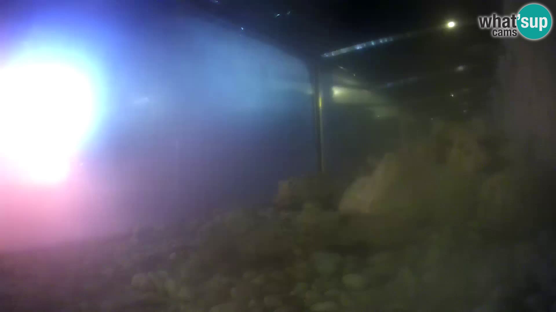 Marine Aquarium im Freien Rogoznica webcam Kroatien