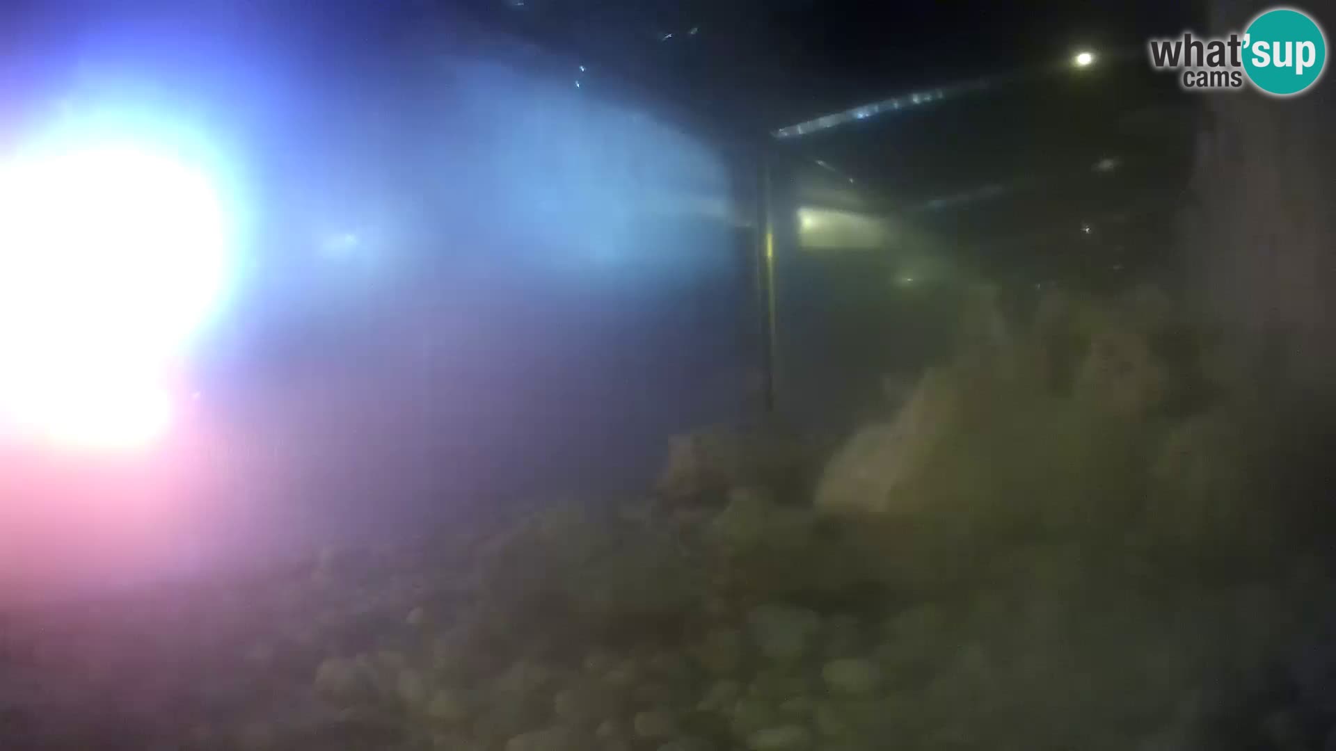 Outdoor Marine Aquarium Rogoznica webcam Croatia